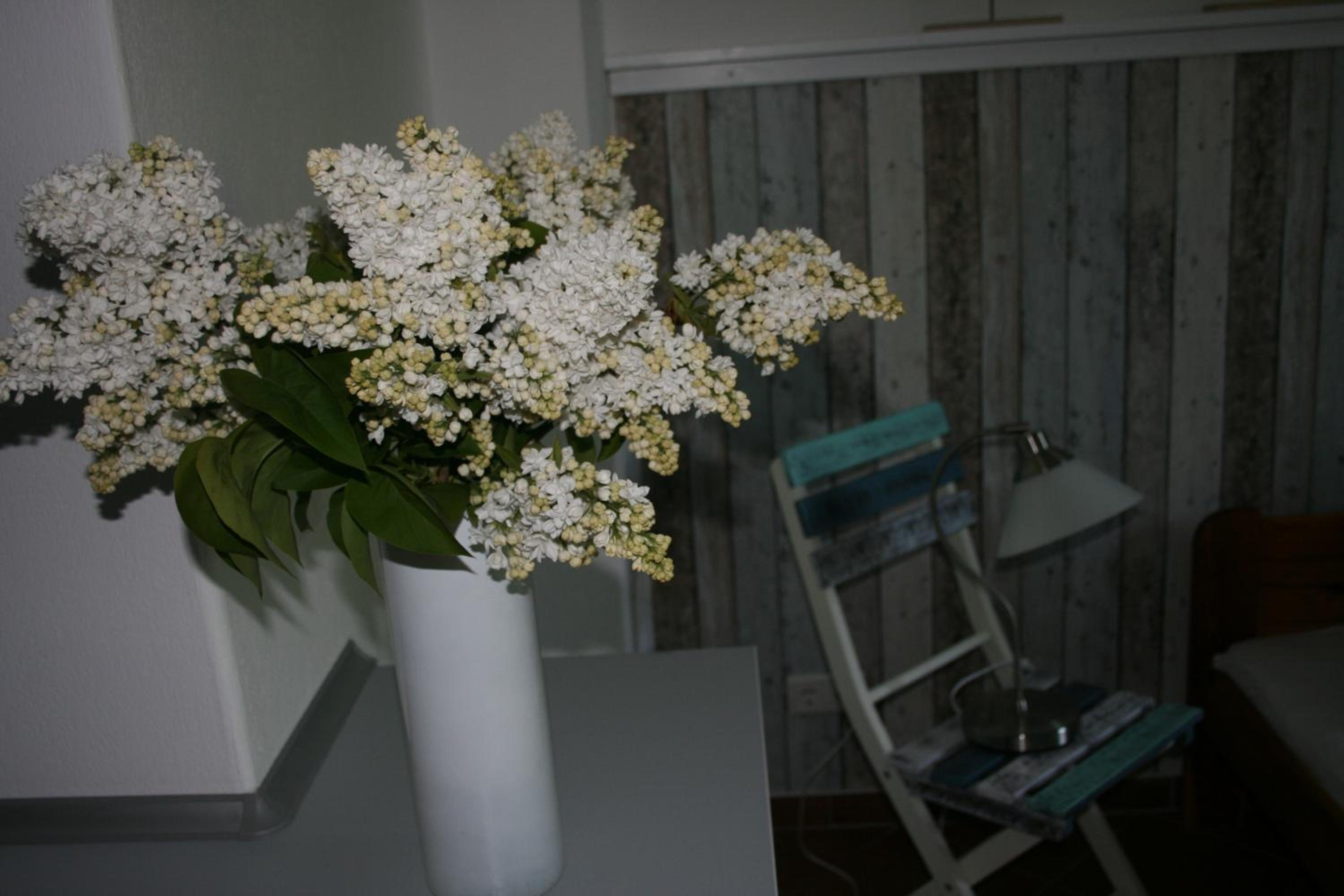 Photo 35