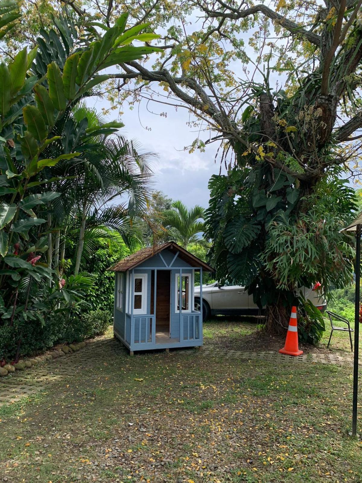 Finca San Pedro