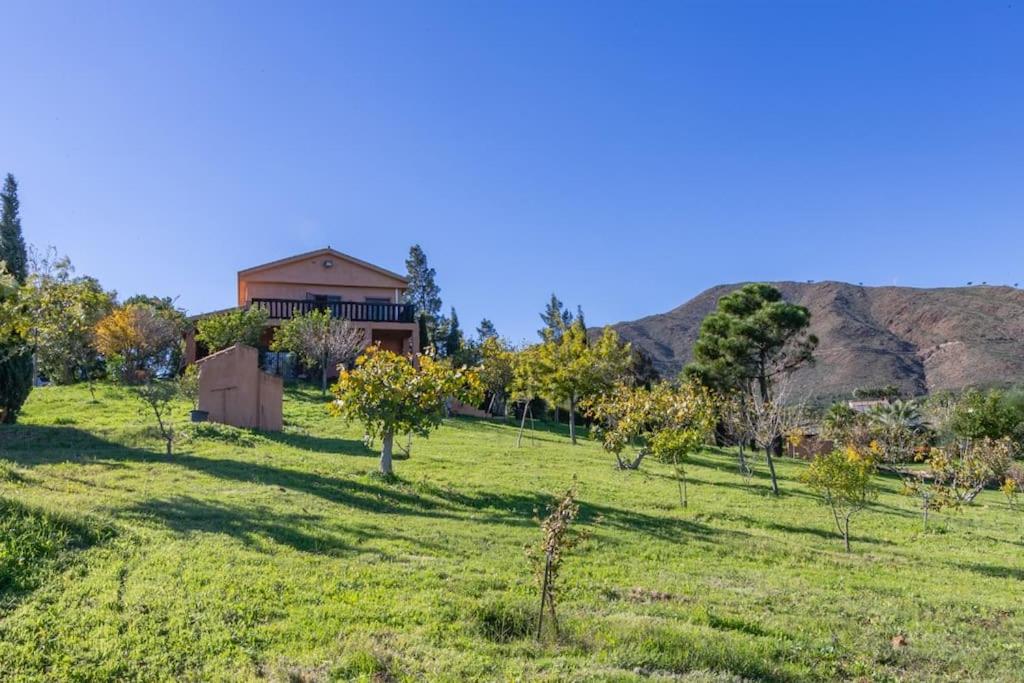 Villa LA DACHA