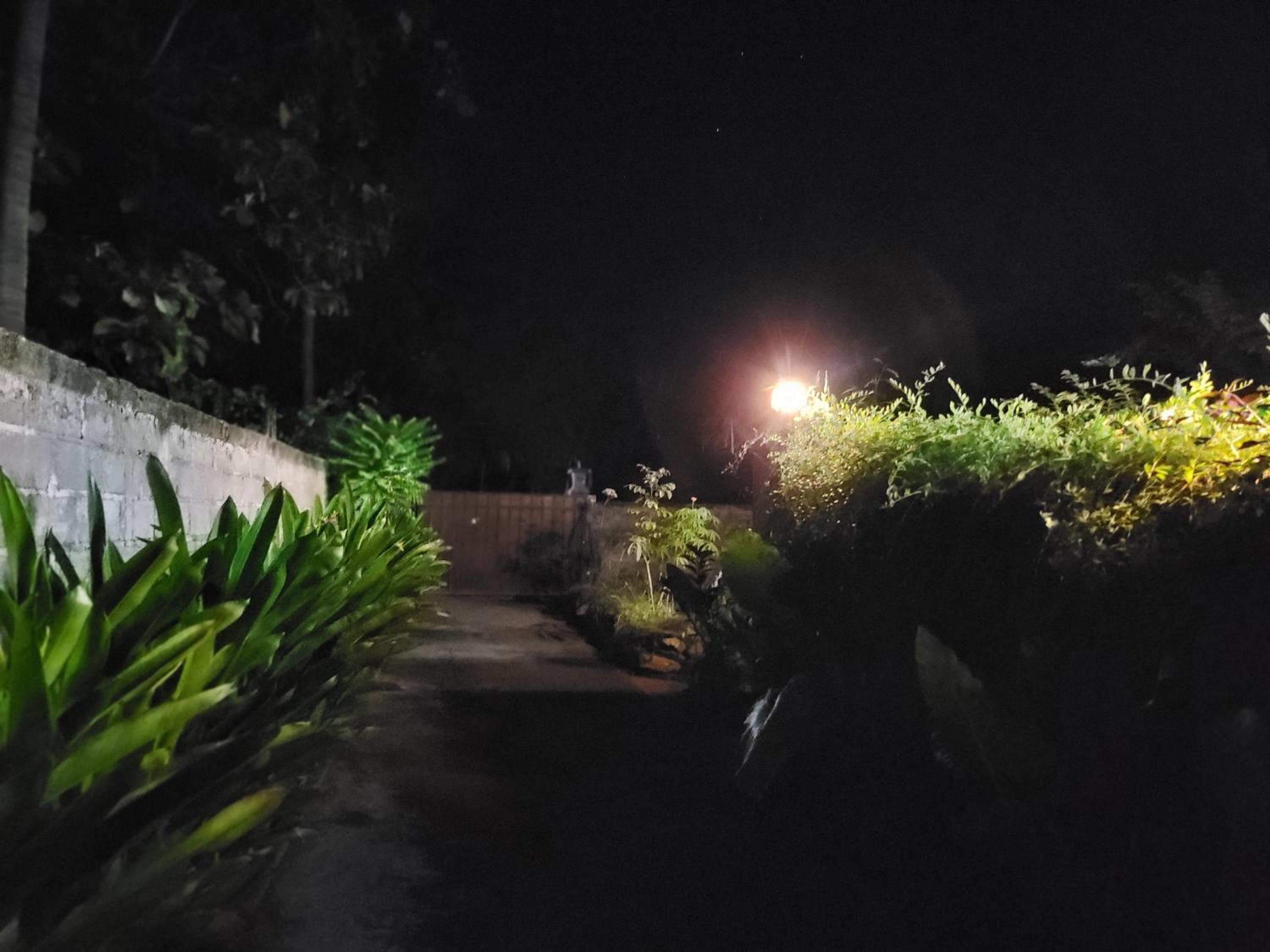 Exotic Backpackers