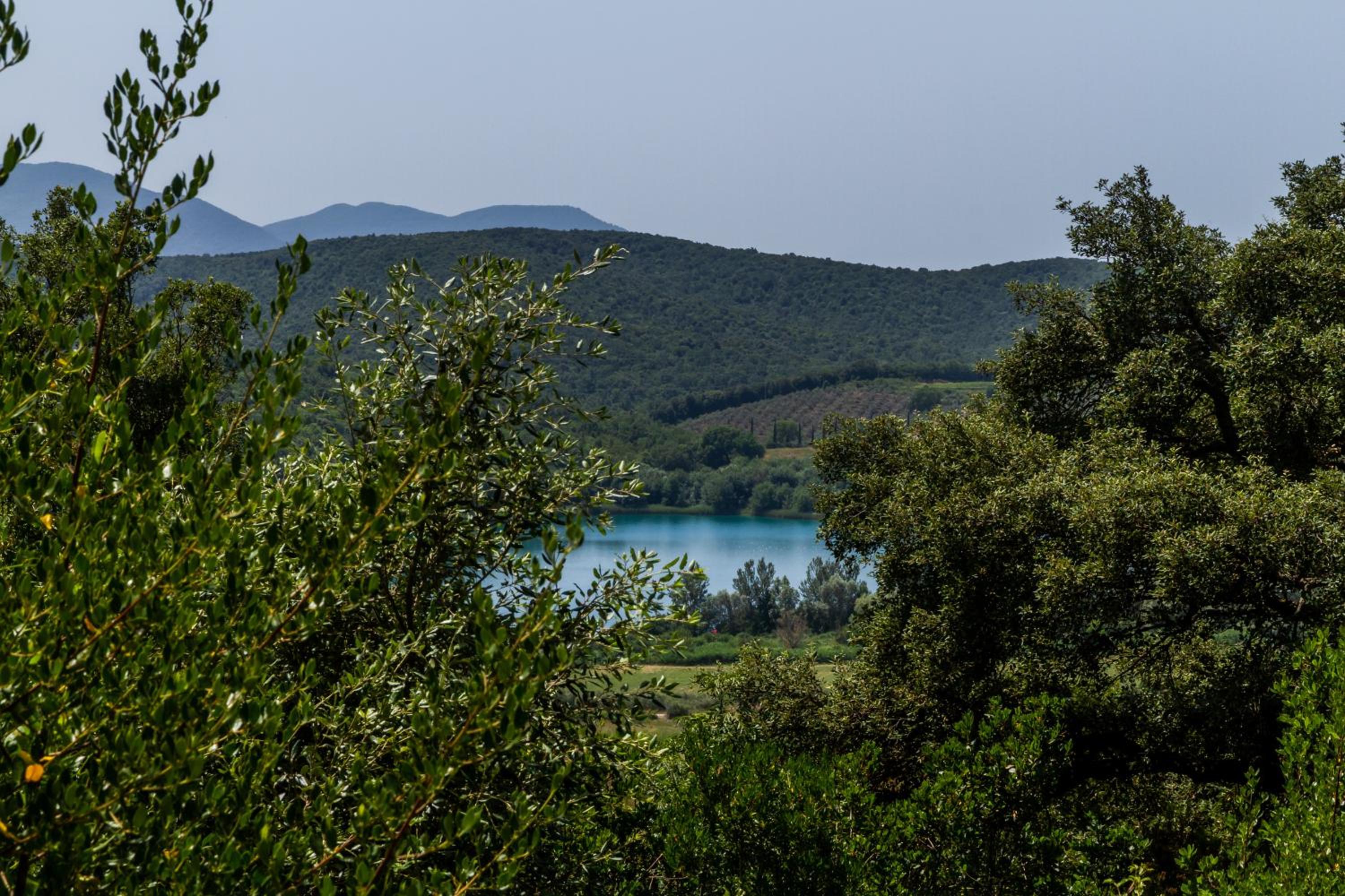 Casa Vacanza Il Carpignone 3 photo 4