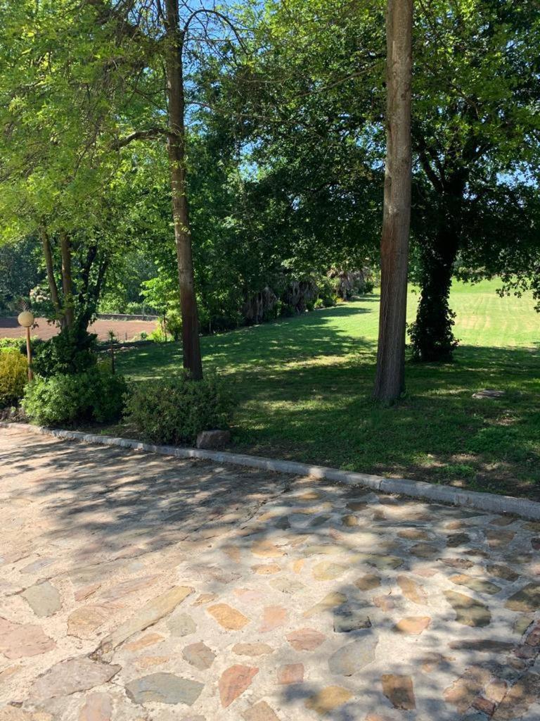 Bouça do Sossego, photo 16