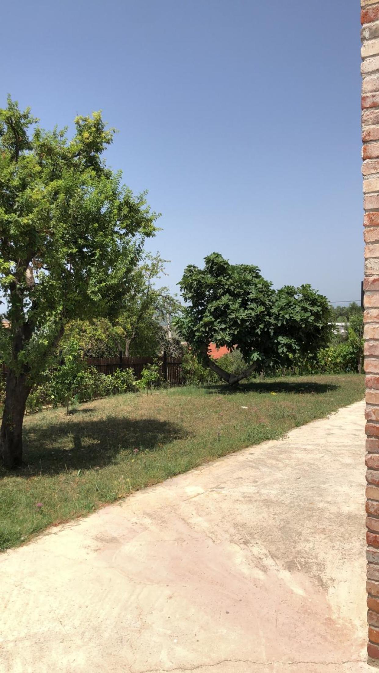 RX villa