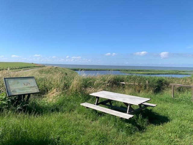 OP ZESTIEN