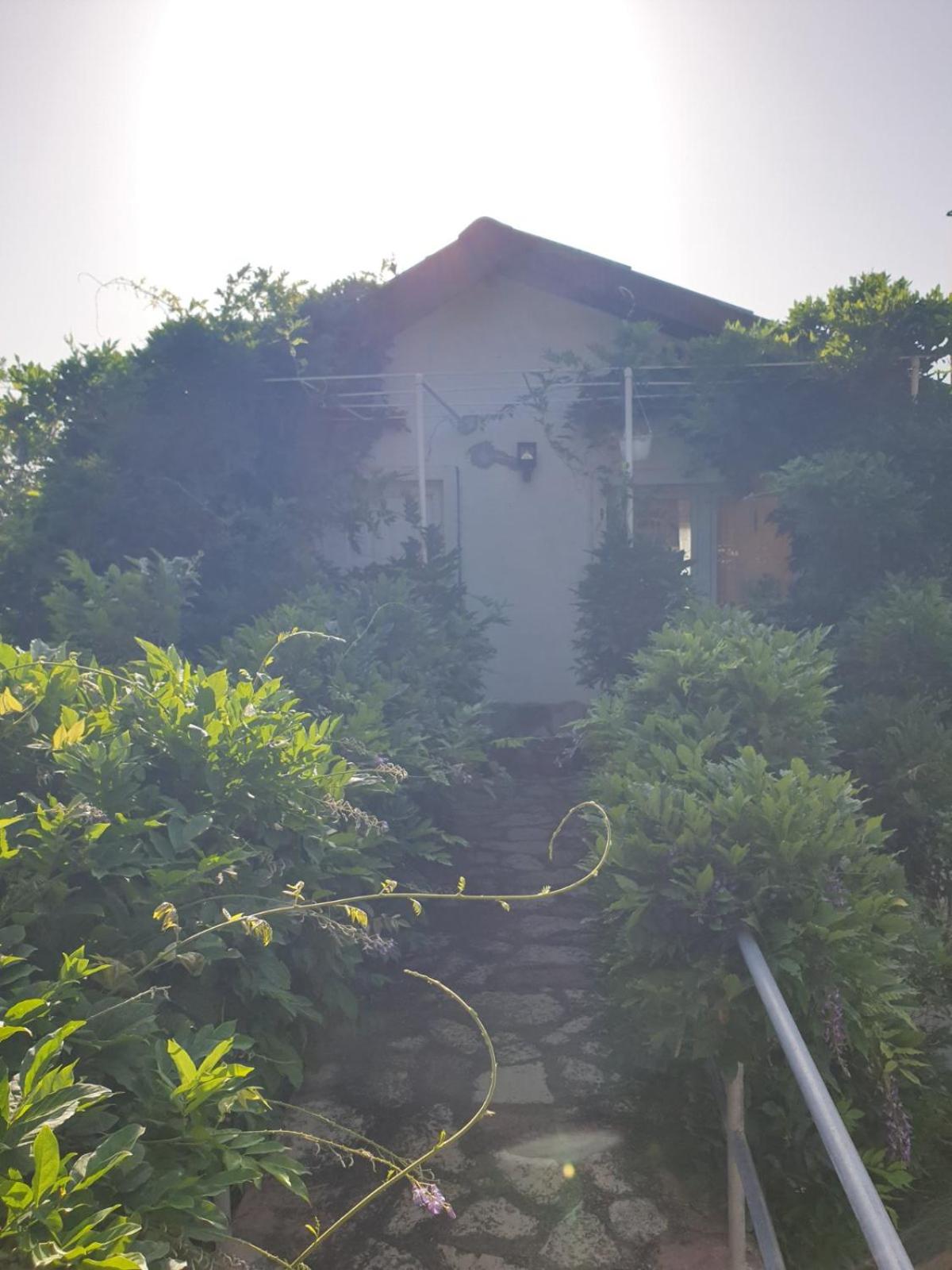 Vila Fantastico