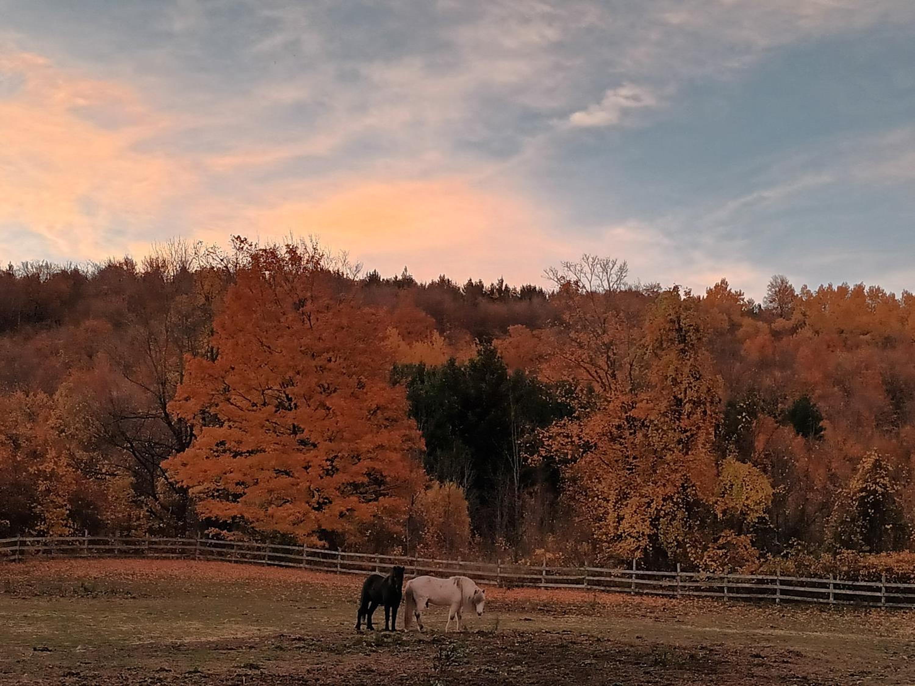 Pretty River Valley Country Inn