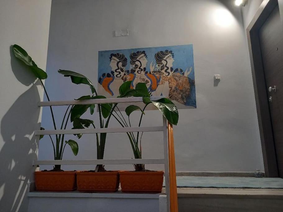 Acropolis Panoramic Studio