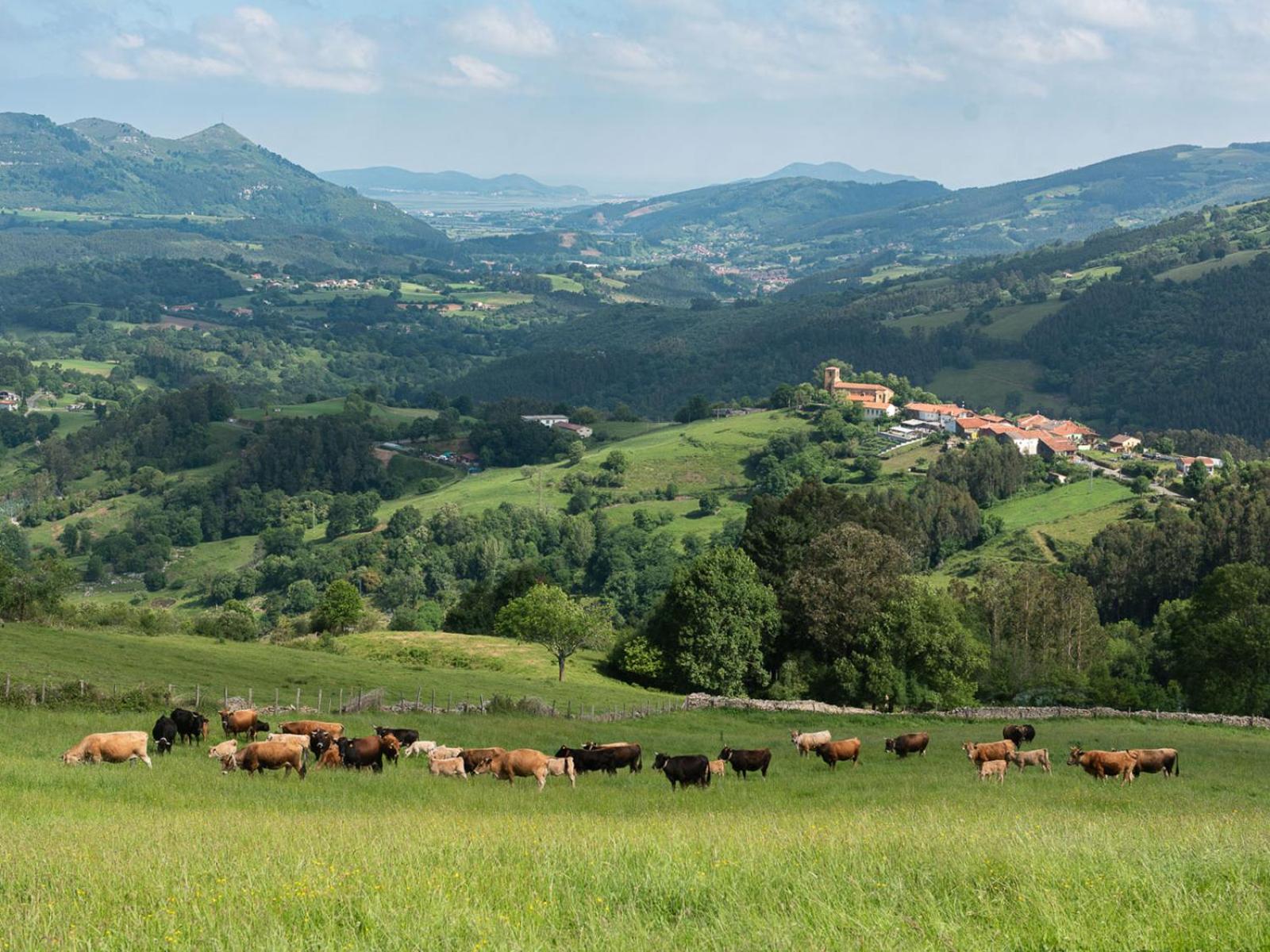 La Tejedora