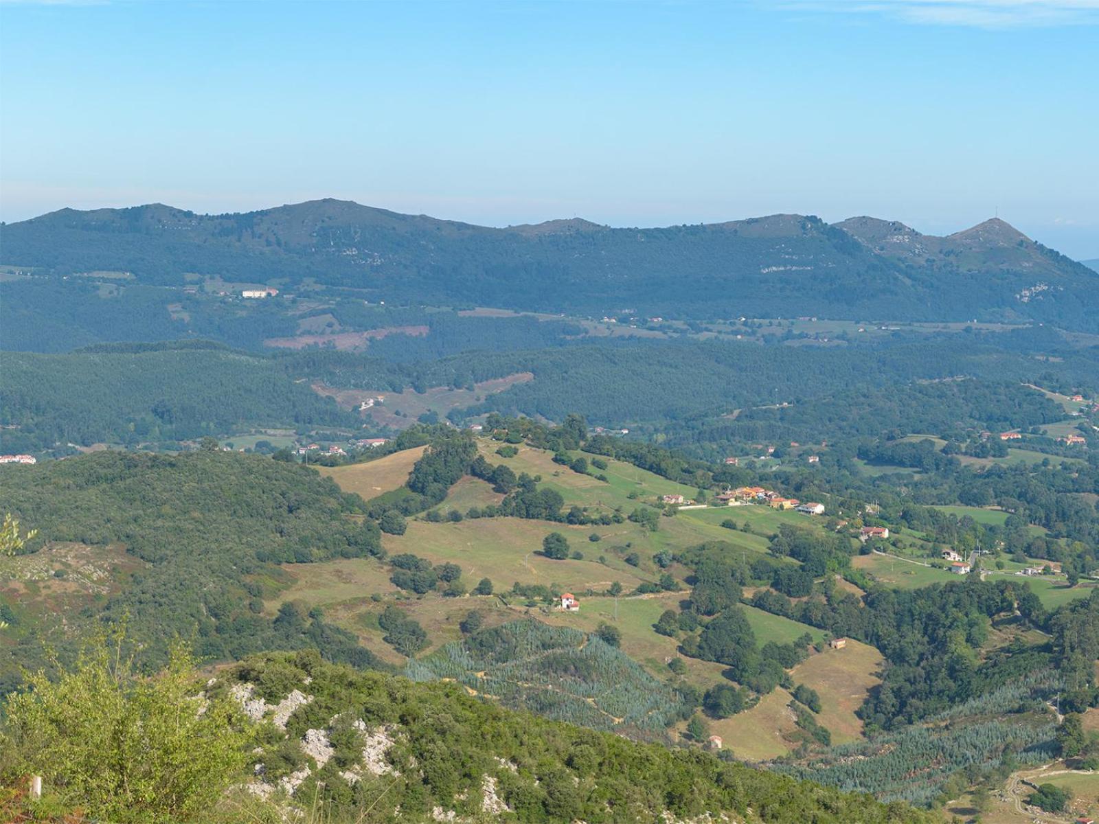 La Tejedora