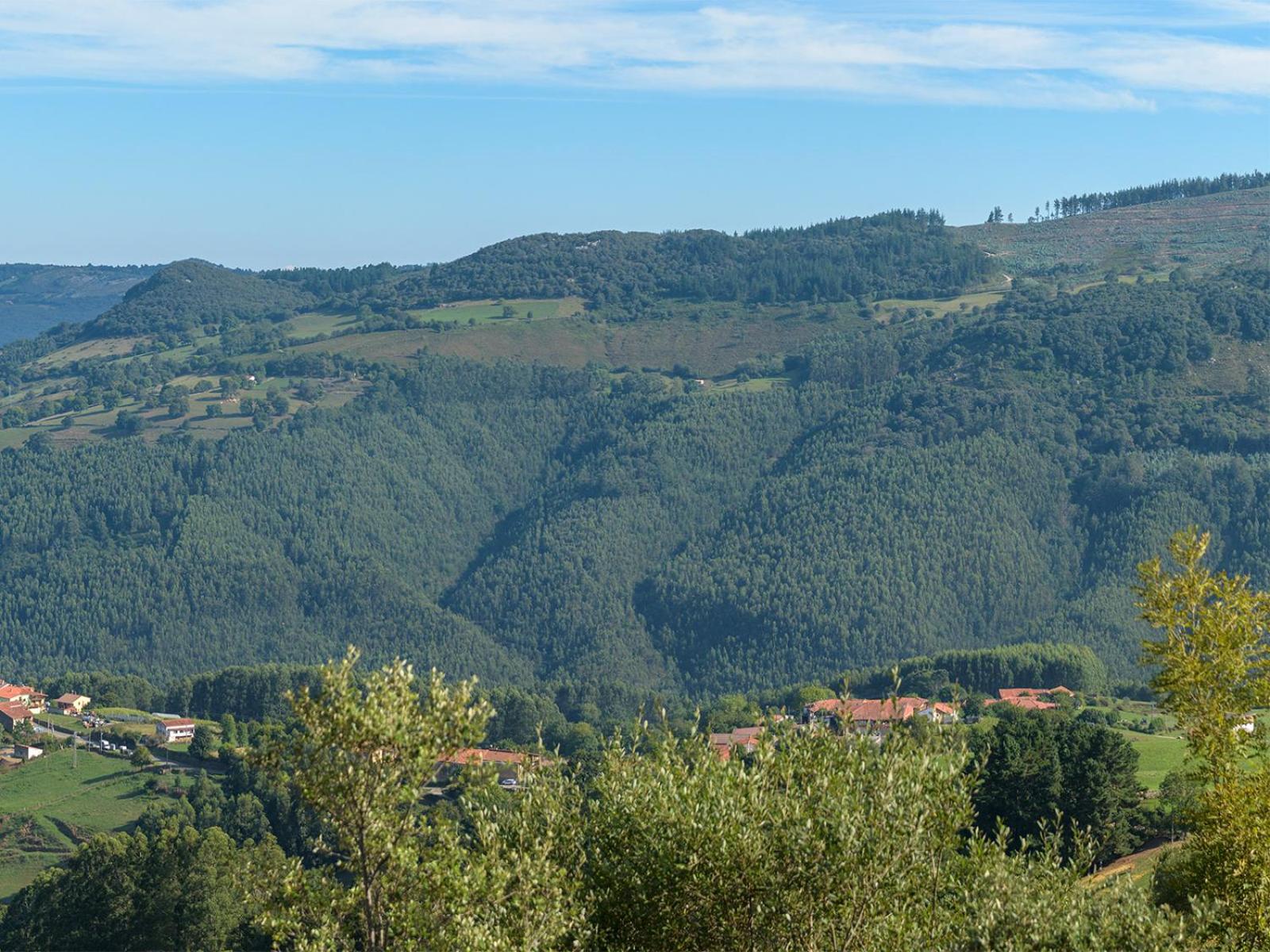 La Tejedora