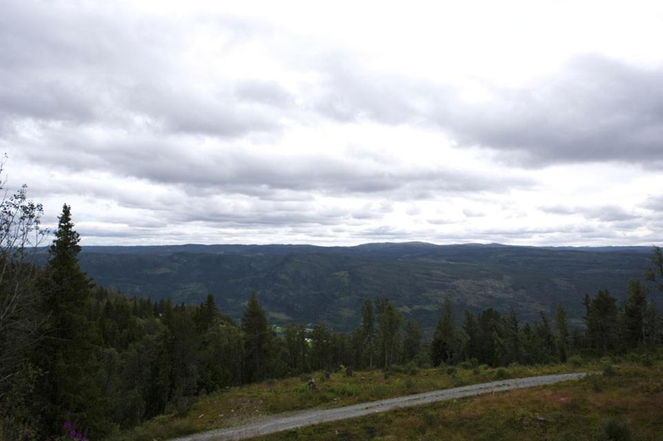 Photo 20