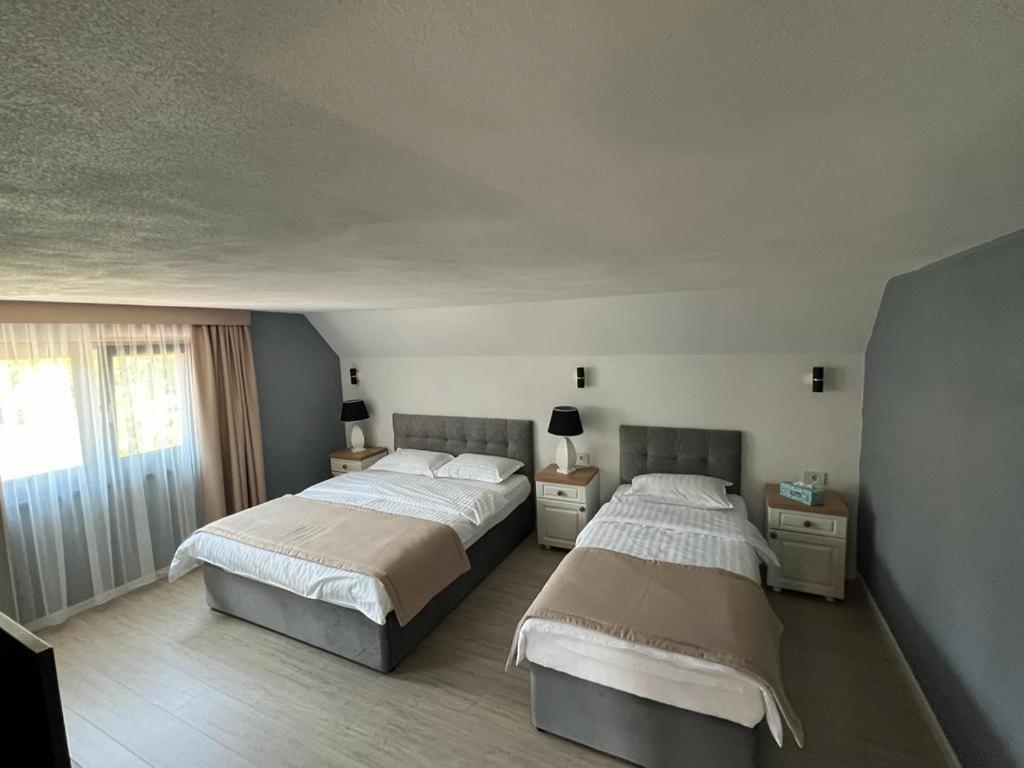 PENSIUNEA IZABELLA, Vila Cocket