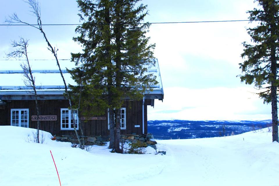 Photo 23