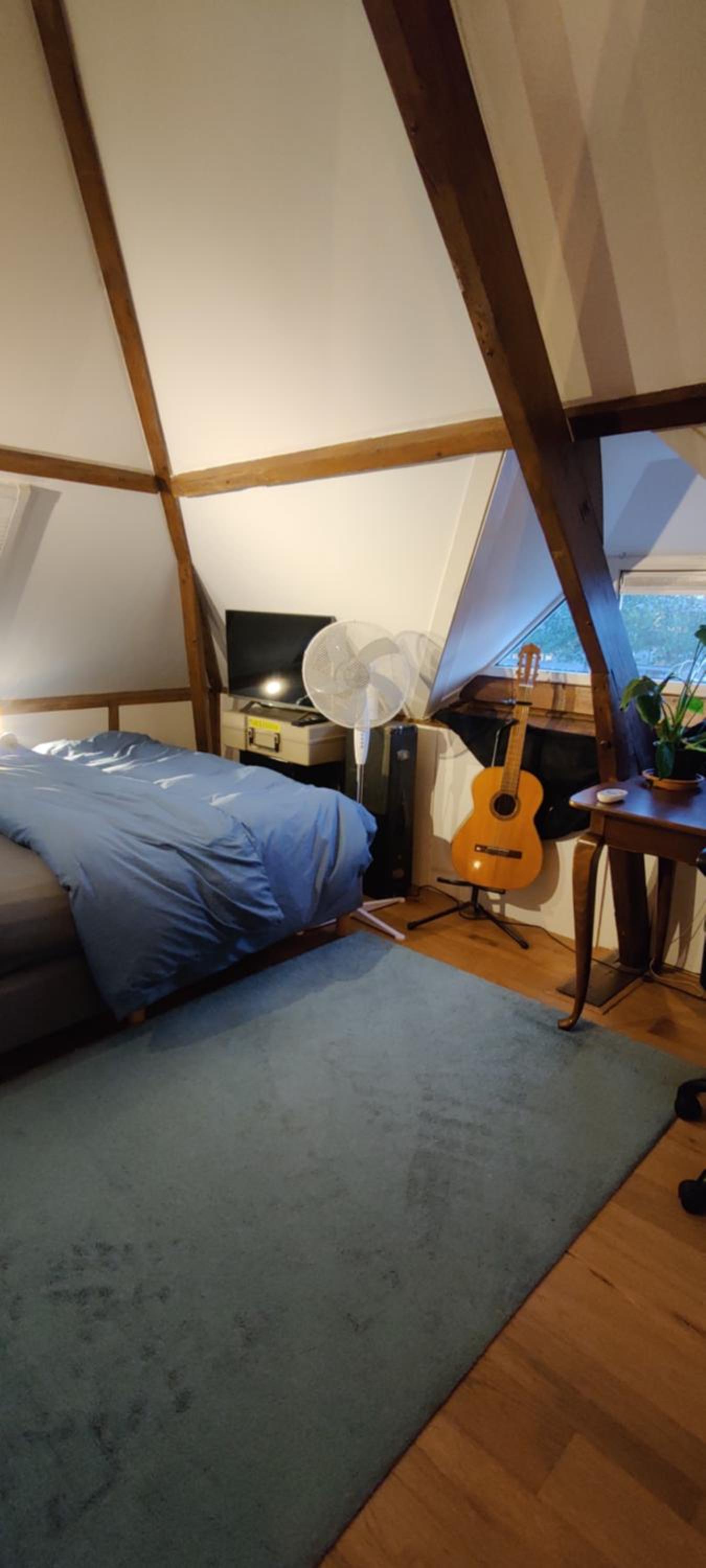 Directors room Swimmingpool Ecolodge Tilburg