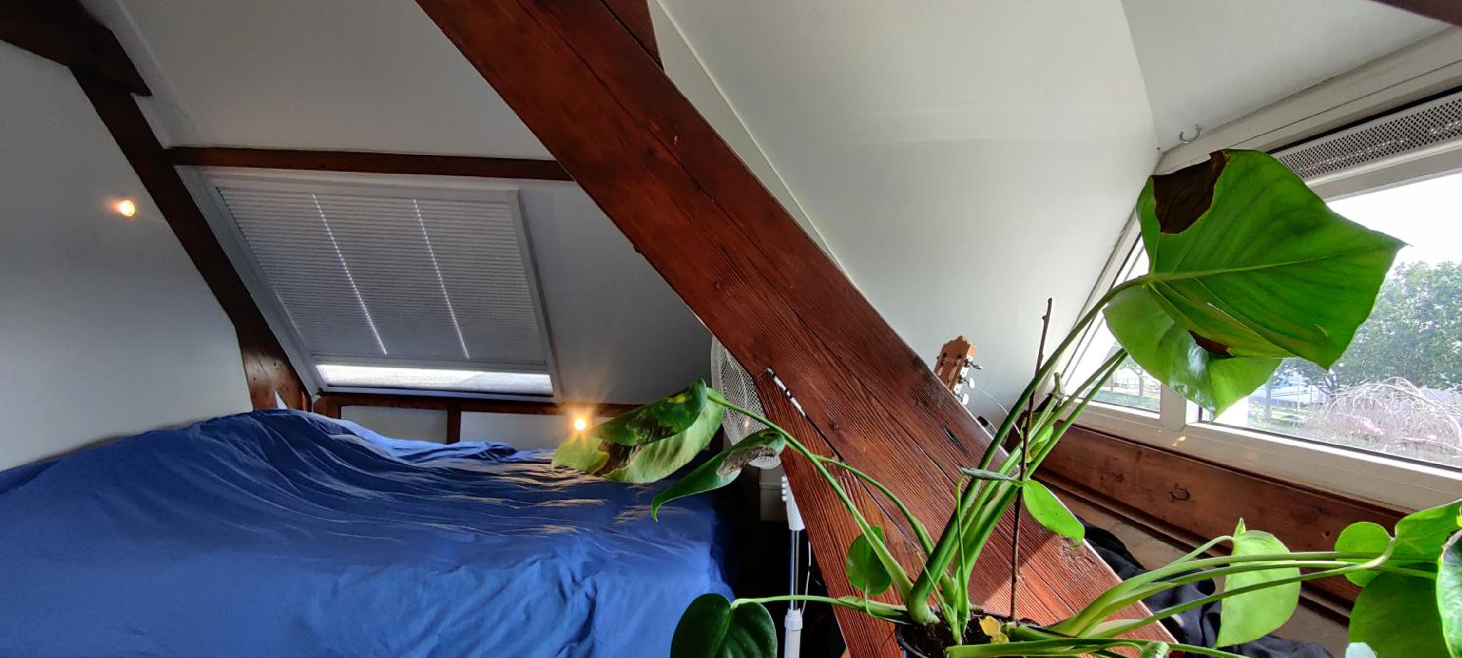Directors room Swimmingpool Ecolodge Tilburg