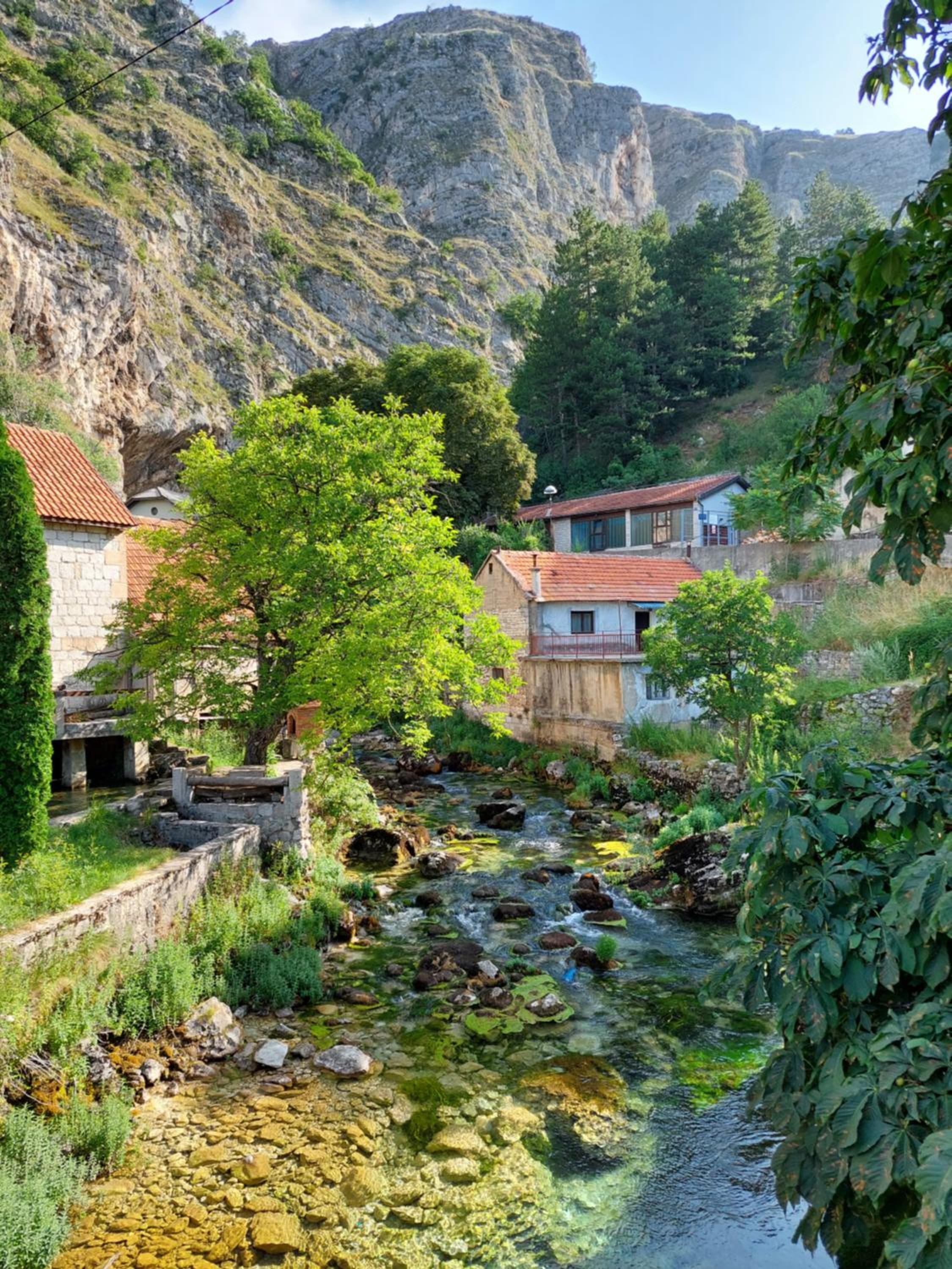 Apartman Cincar