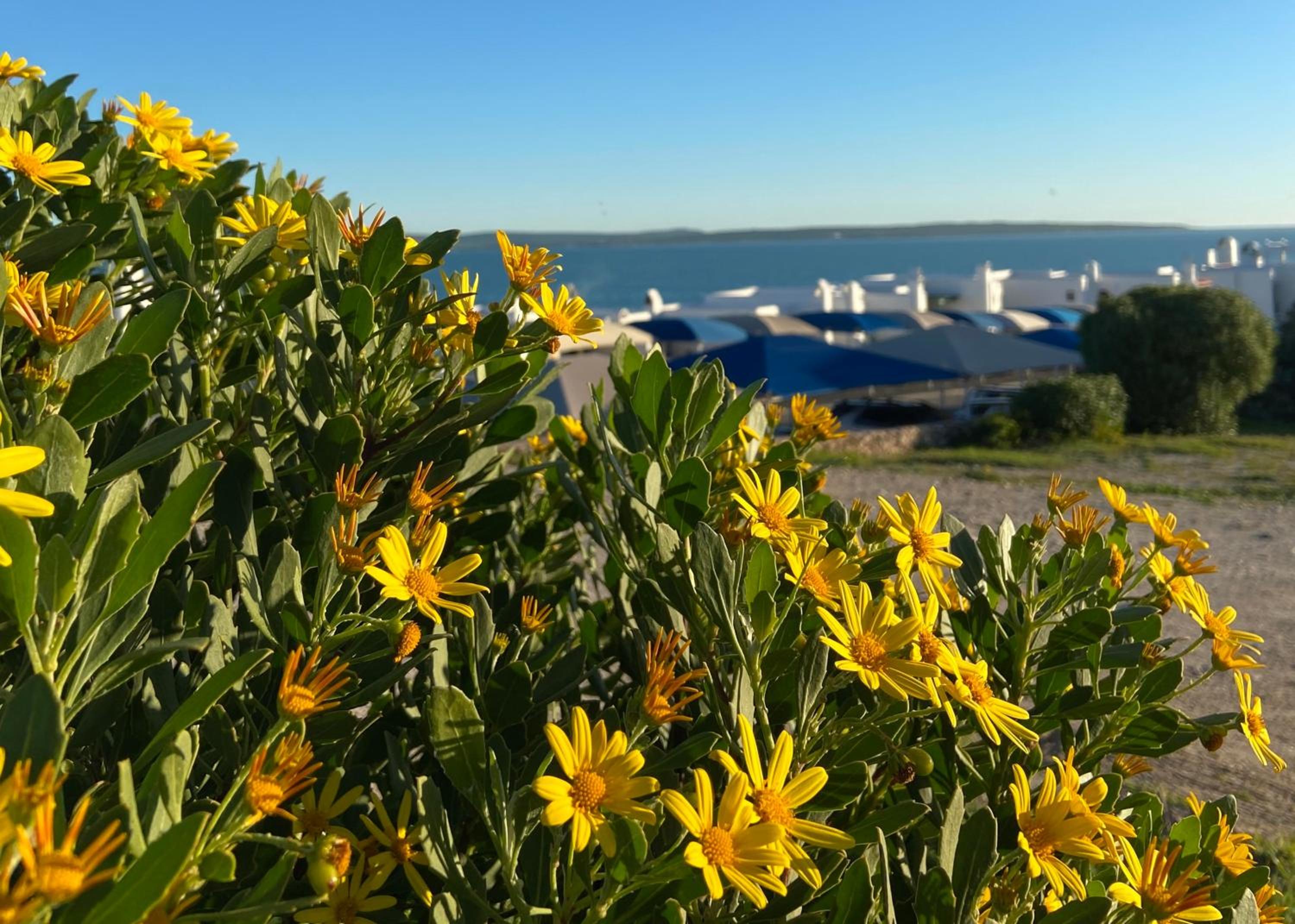 Soleil - comfort, peace & sunshine view 4