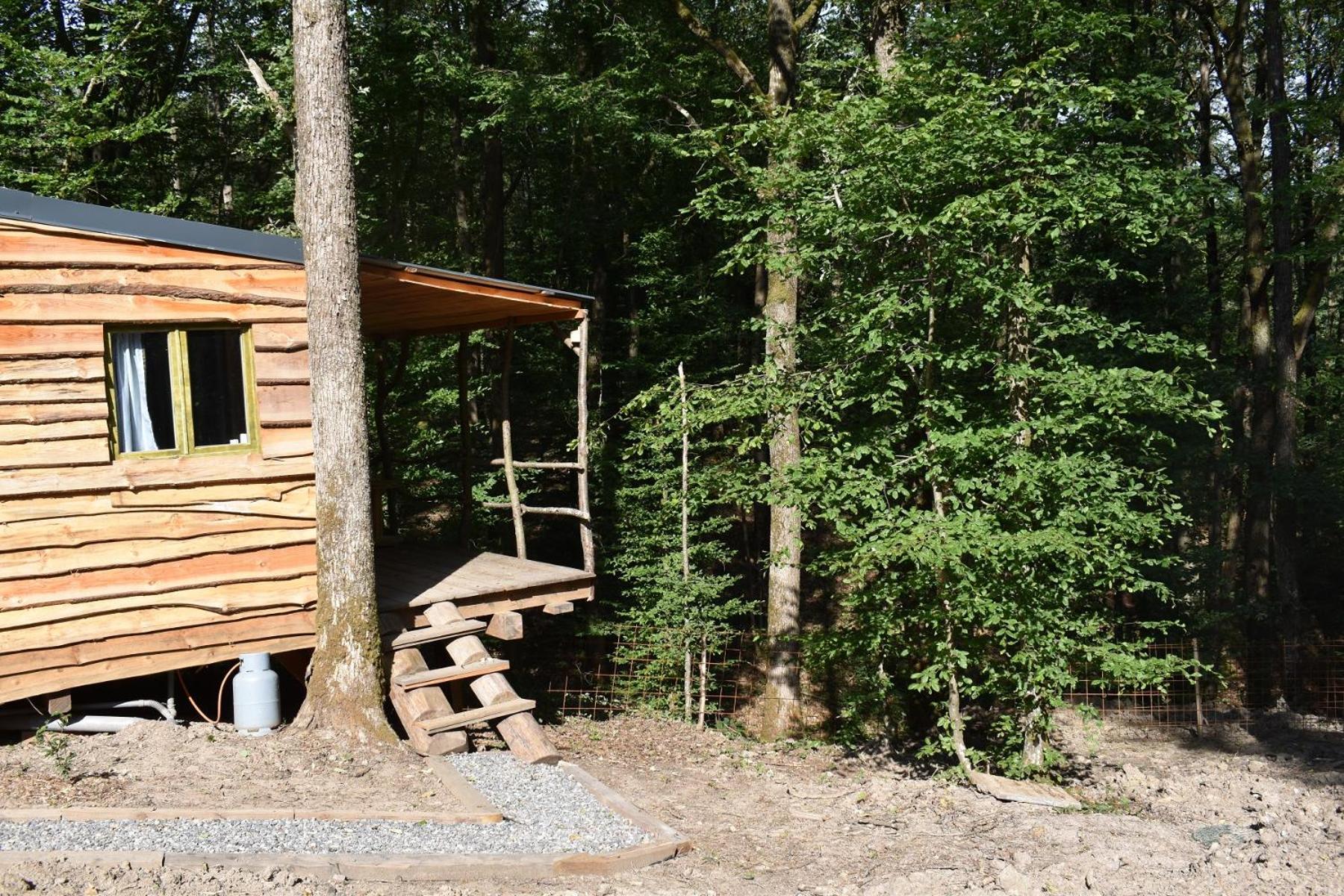 La cabane aux écureuils
