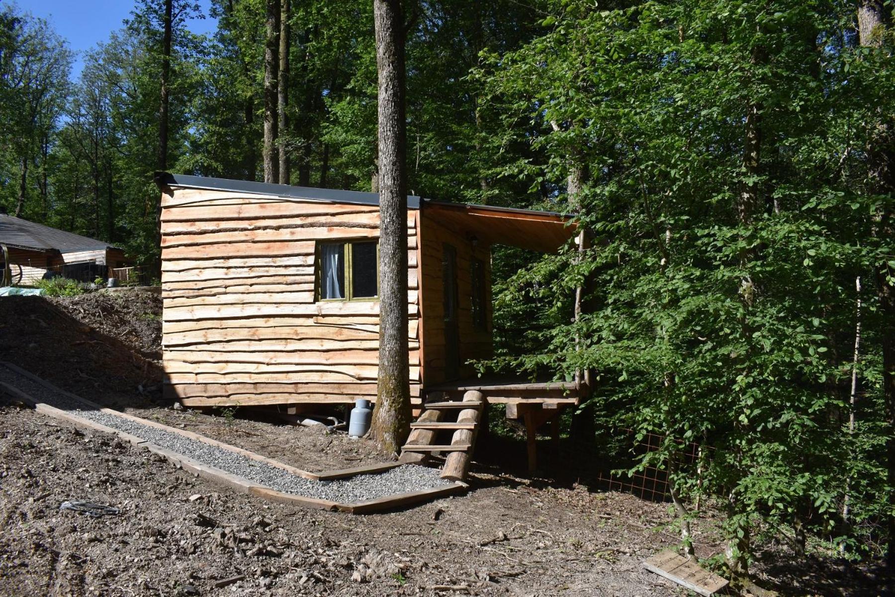 La cabane aux écureuils