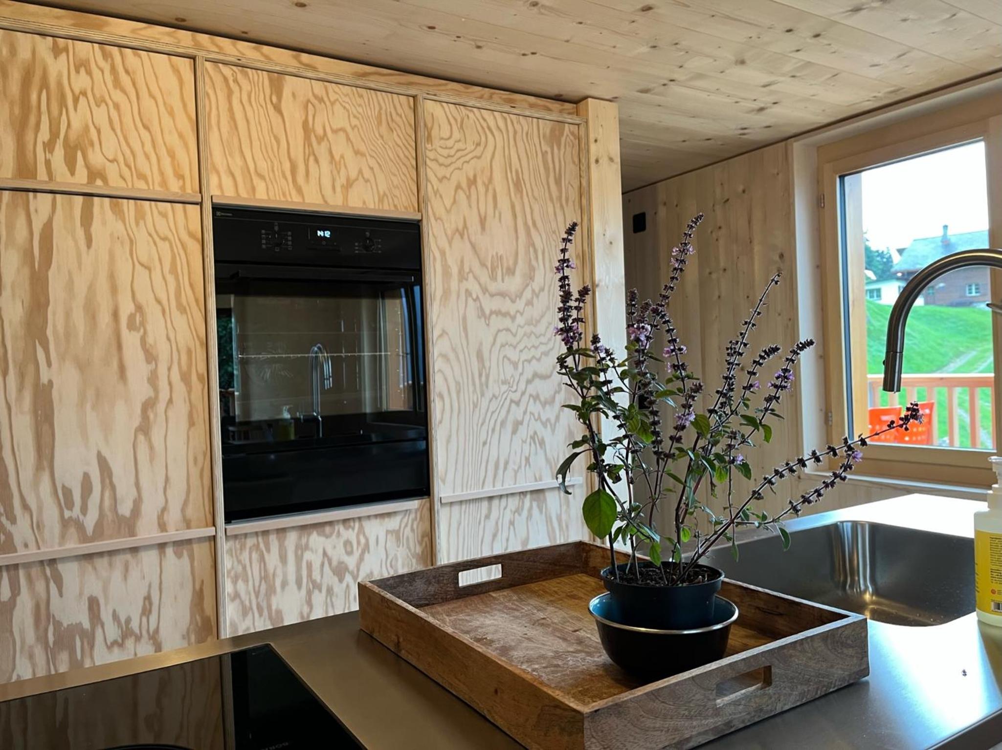 Sunnehuesli