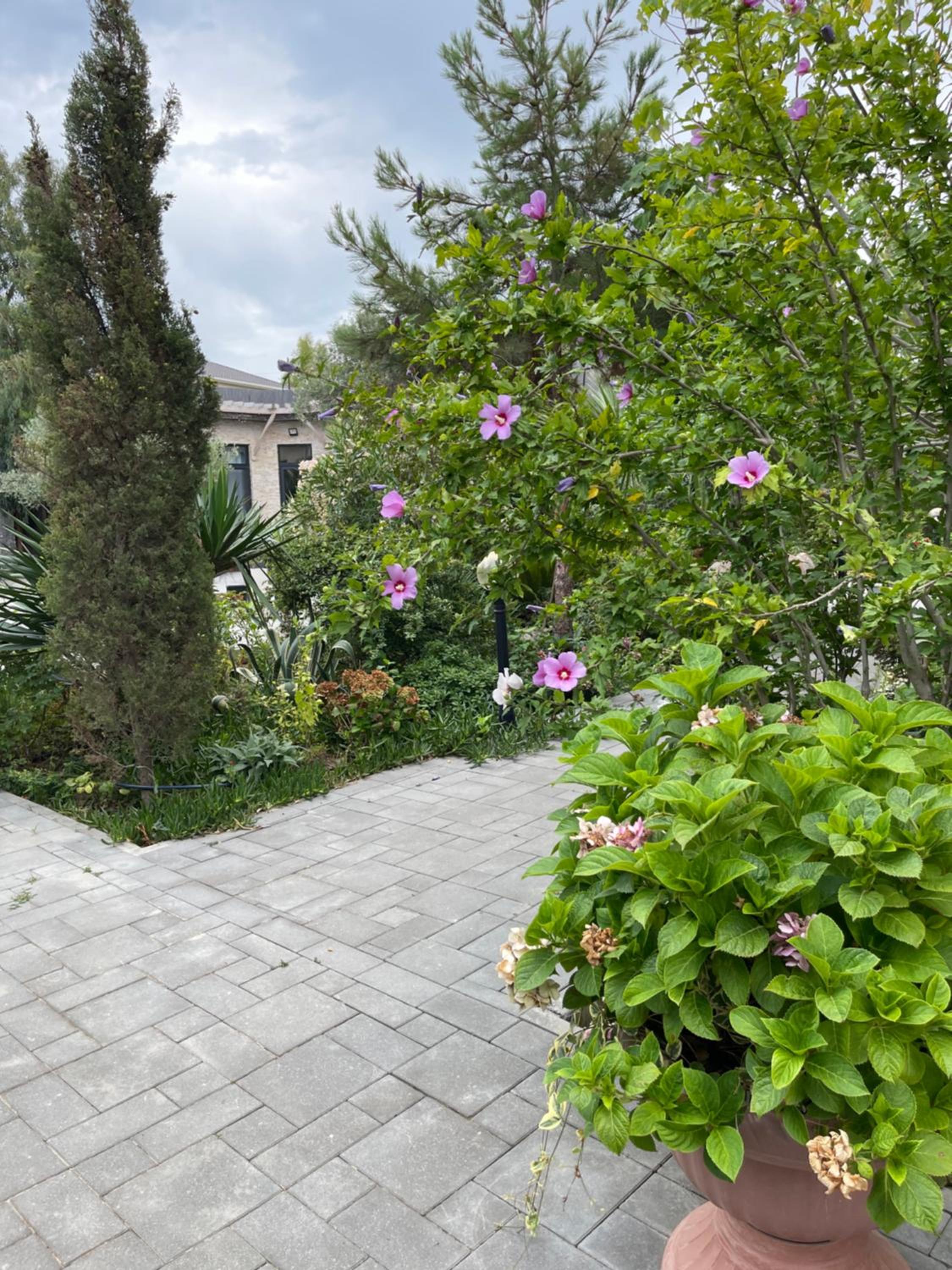 Baku White Villa