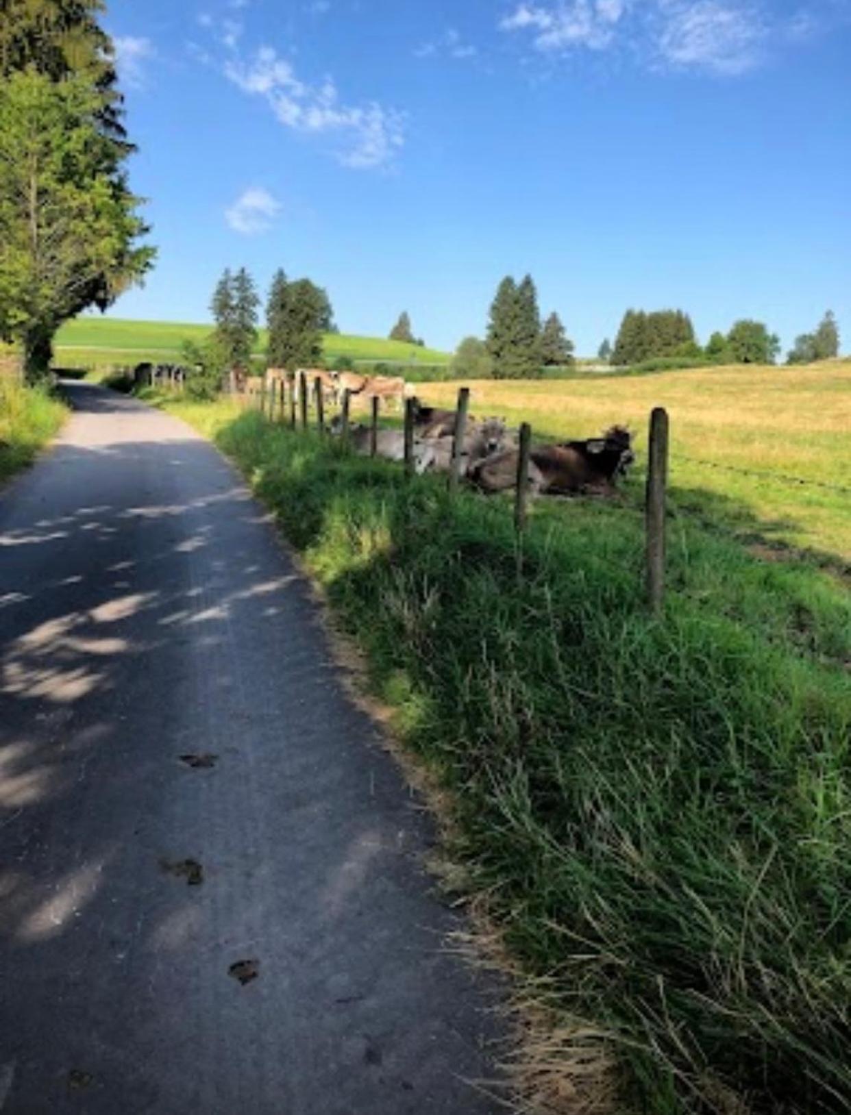 Ferienwohnung SISSI