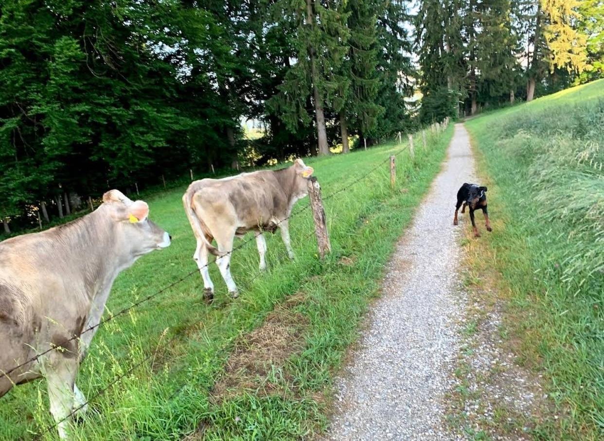 Ferienwohnung SISSI
