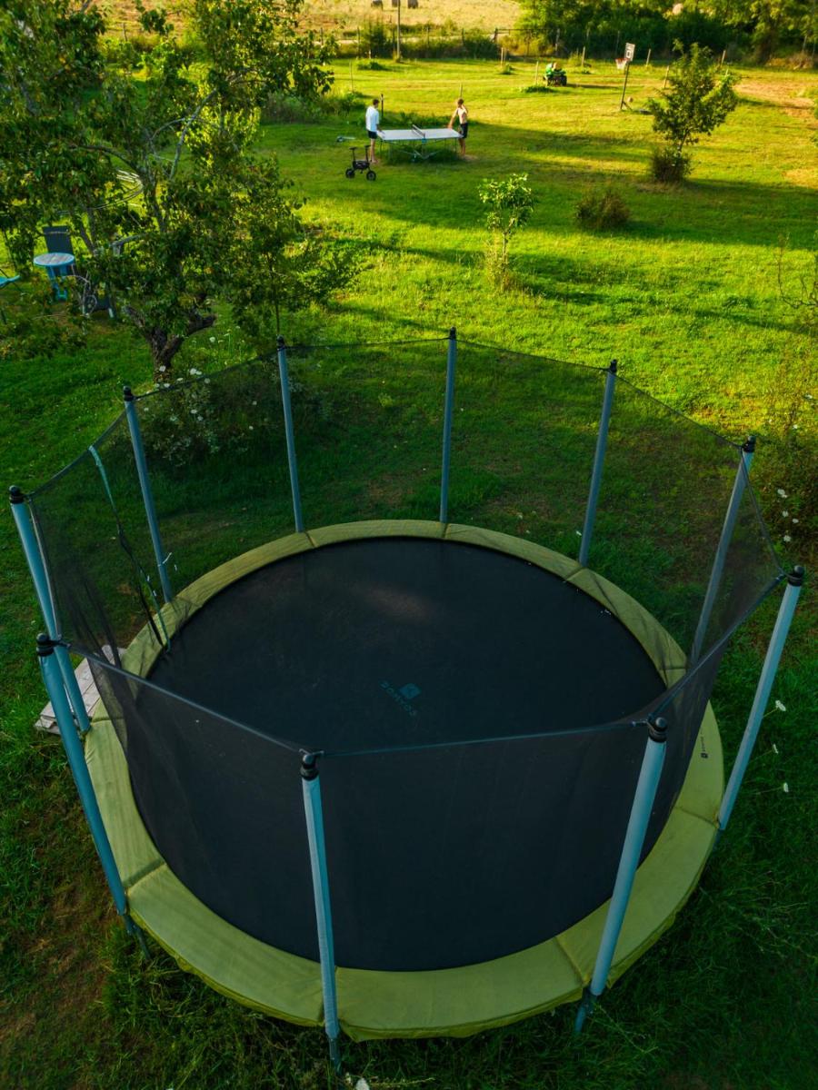 Agriturismo Anfora della Vita