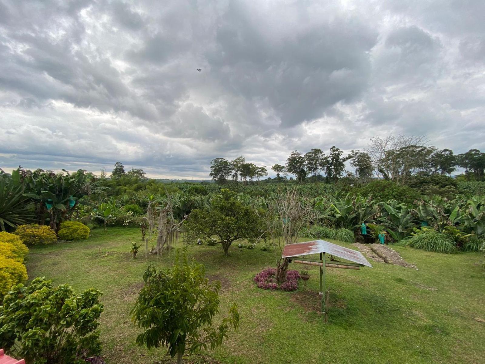 Mi Casita Campersite