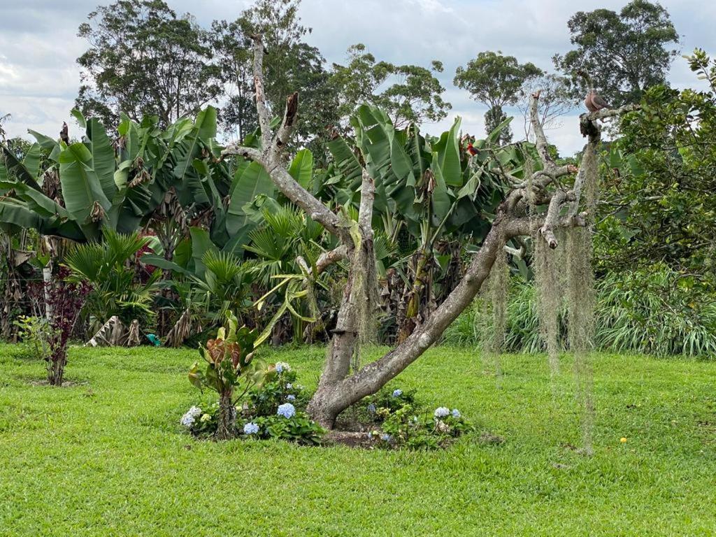 Mi Casita Campersite