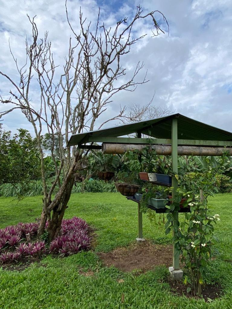 Mi Casita Campersite