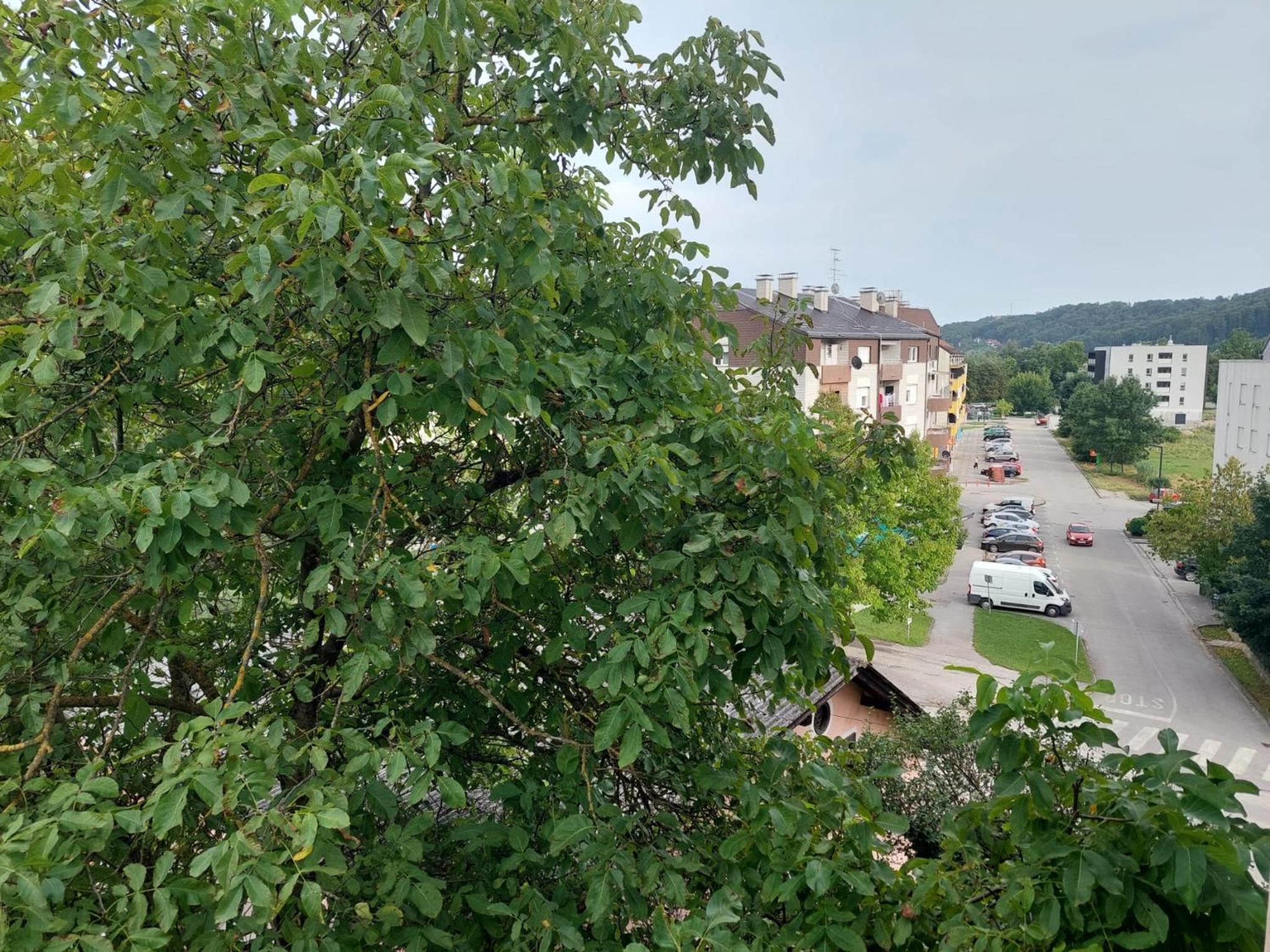 Apartman Buba