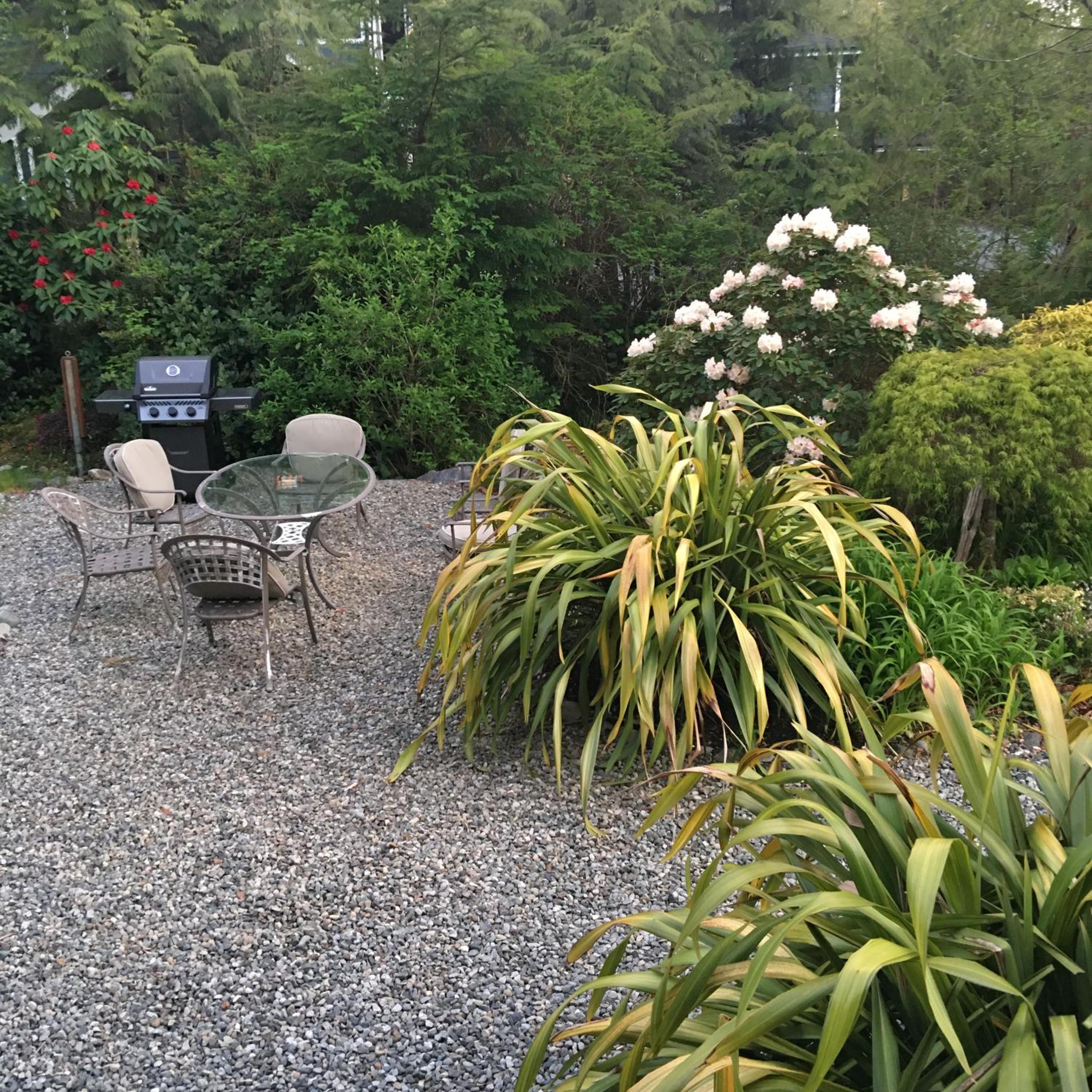 Tofino Vacations - Cobble Wood and Bird Sanctuary Guest Houses - Property Image 112