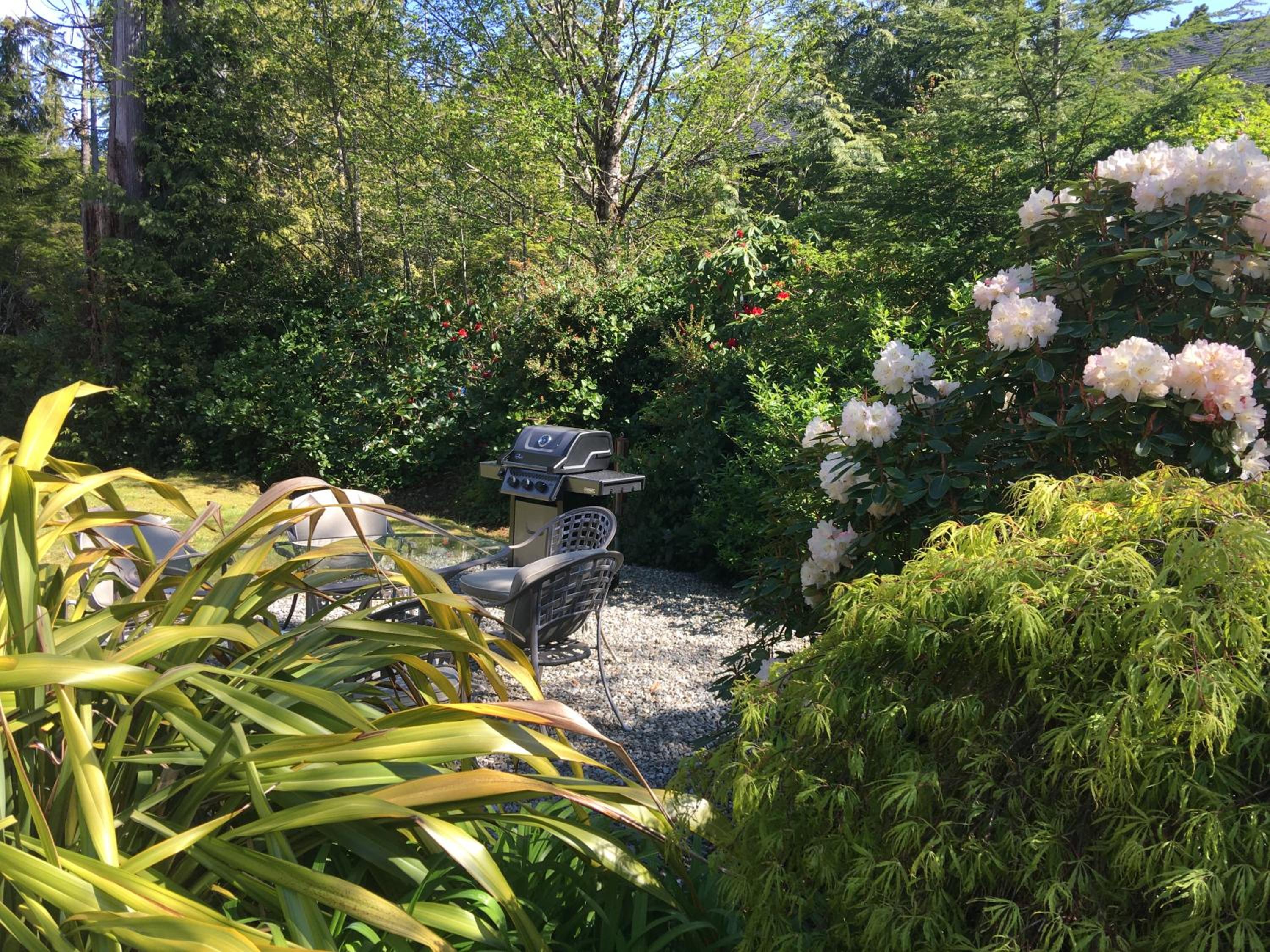 Tofino Vacations - Cobble Wood and Bird Sanctuary Guest Houses - Property Image 114