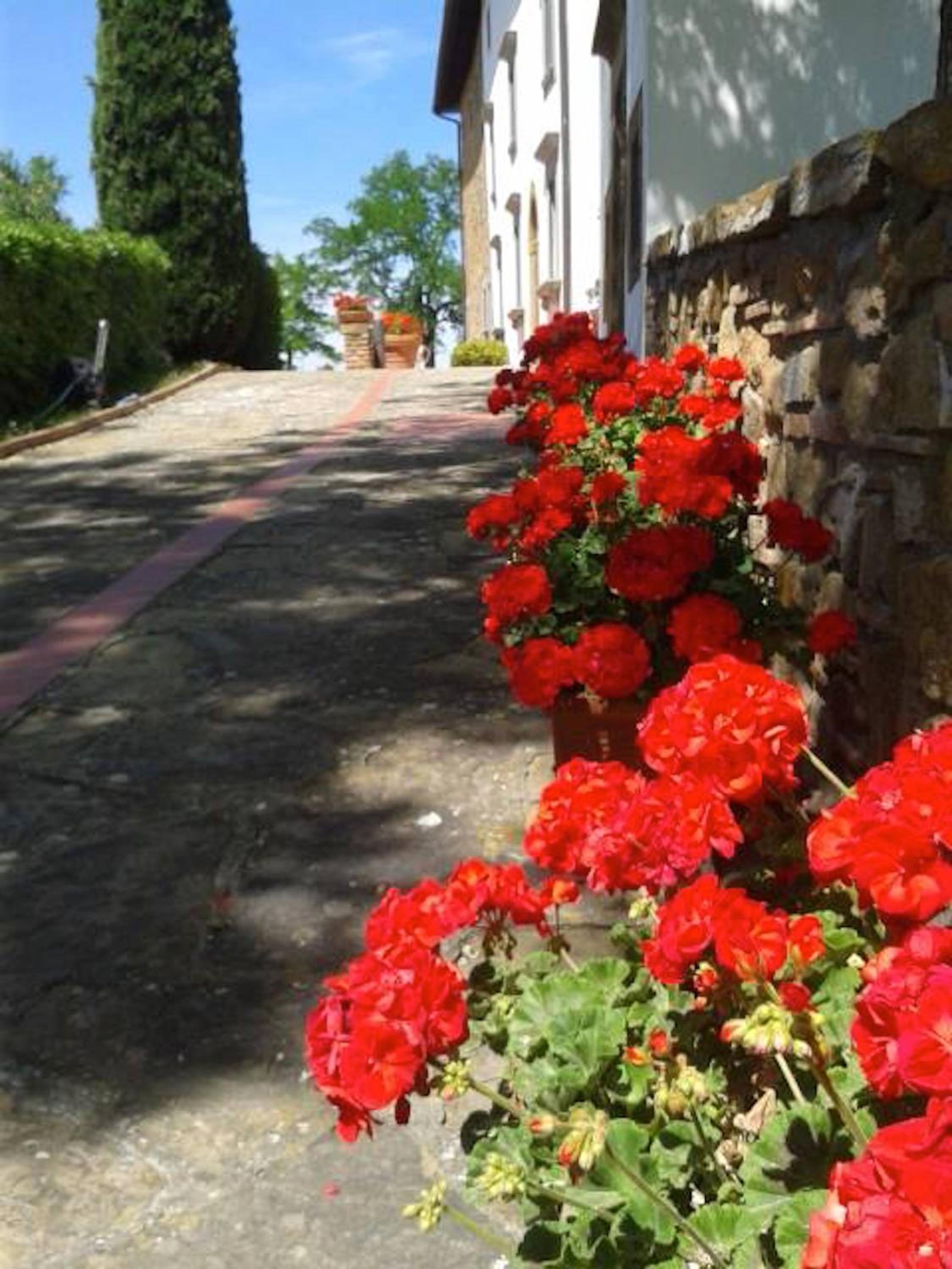 Borgo La Casaccia