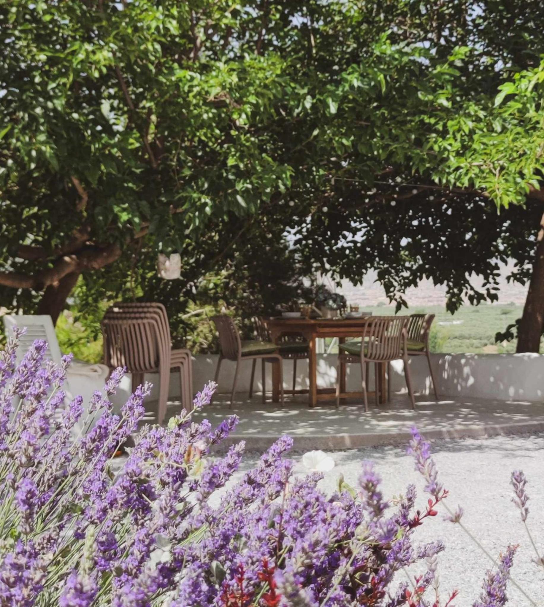 Hotel Cueva OTTO Familiar Privada - Image 1