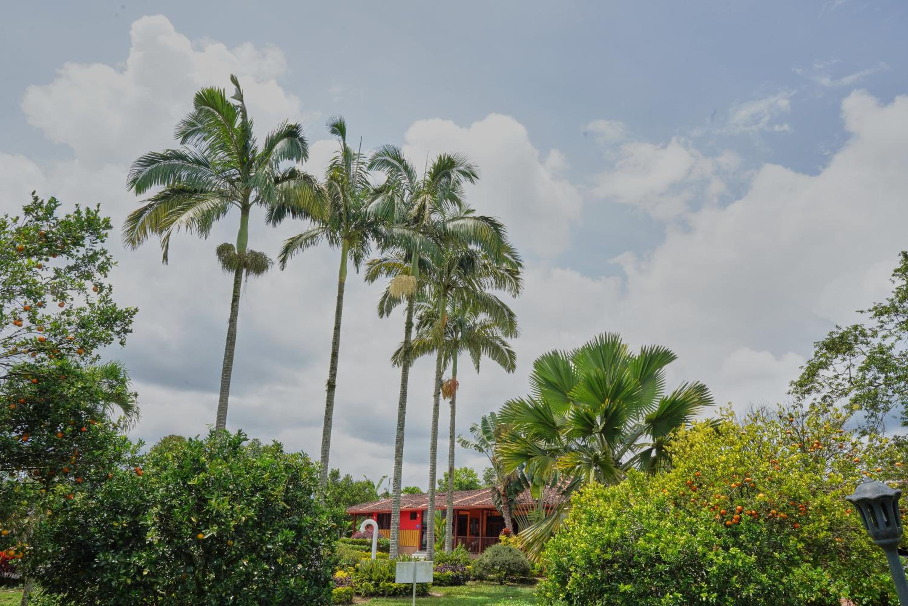 FINCA EL PATRIARCA