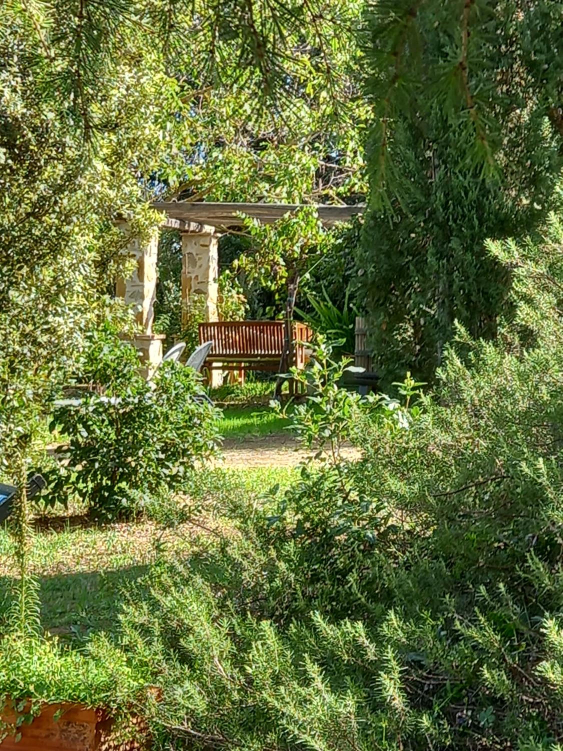 Photo 23