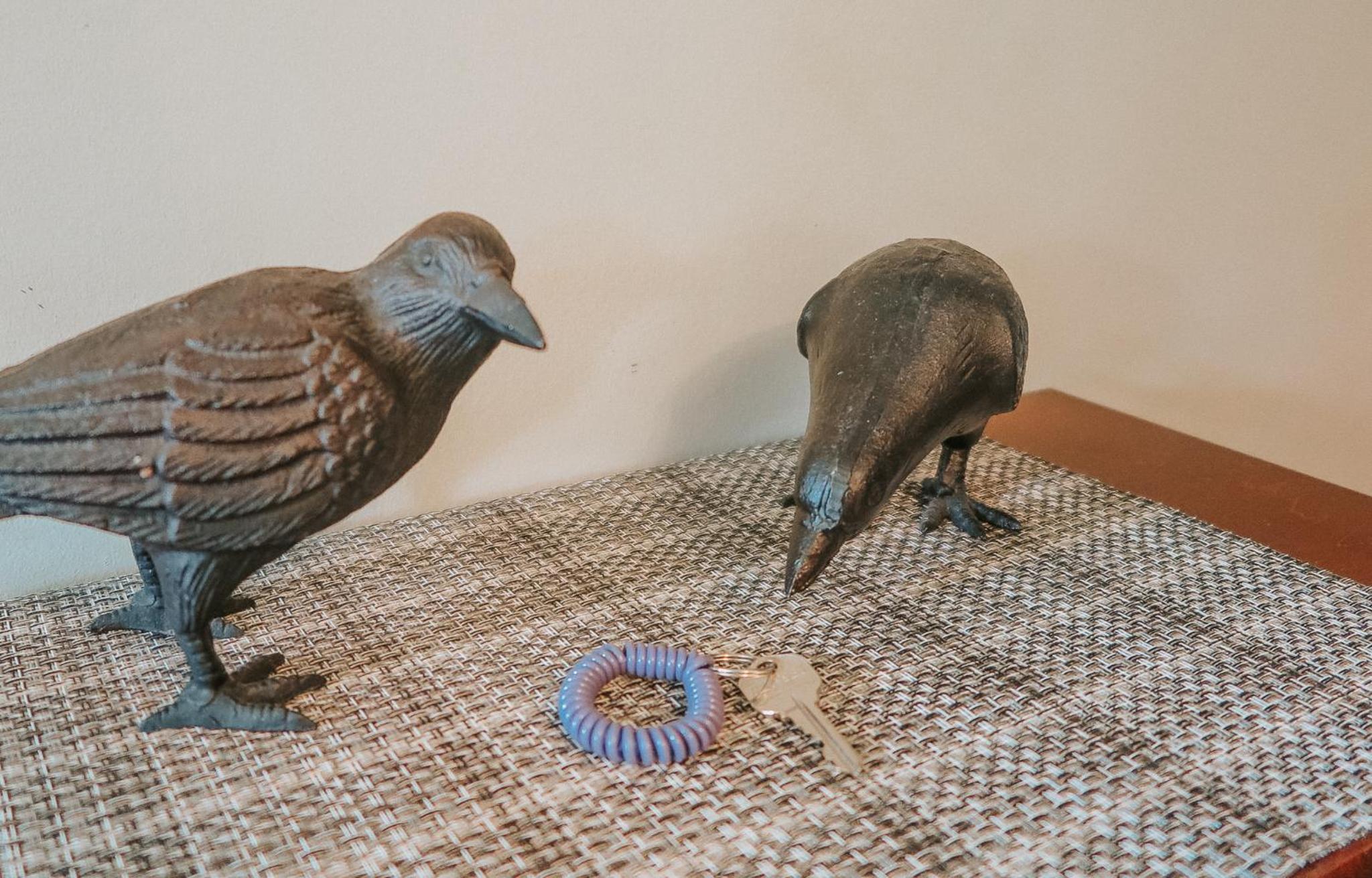 Tofino Vacations - Cobble Wood and Bird Sanctuary Guest Houses - Property Image 121