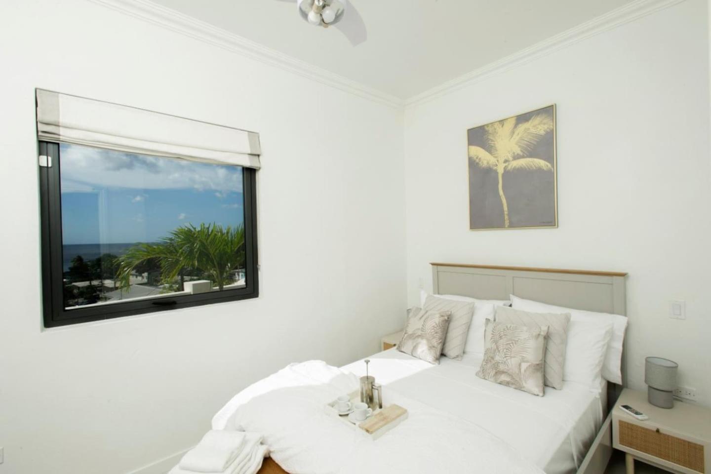 Dunn Dreamin Barbados