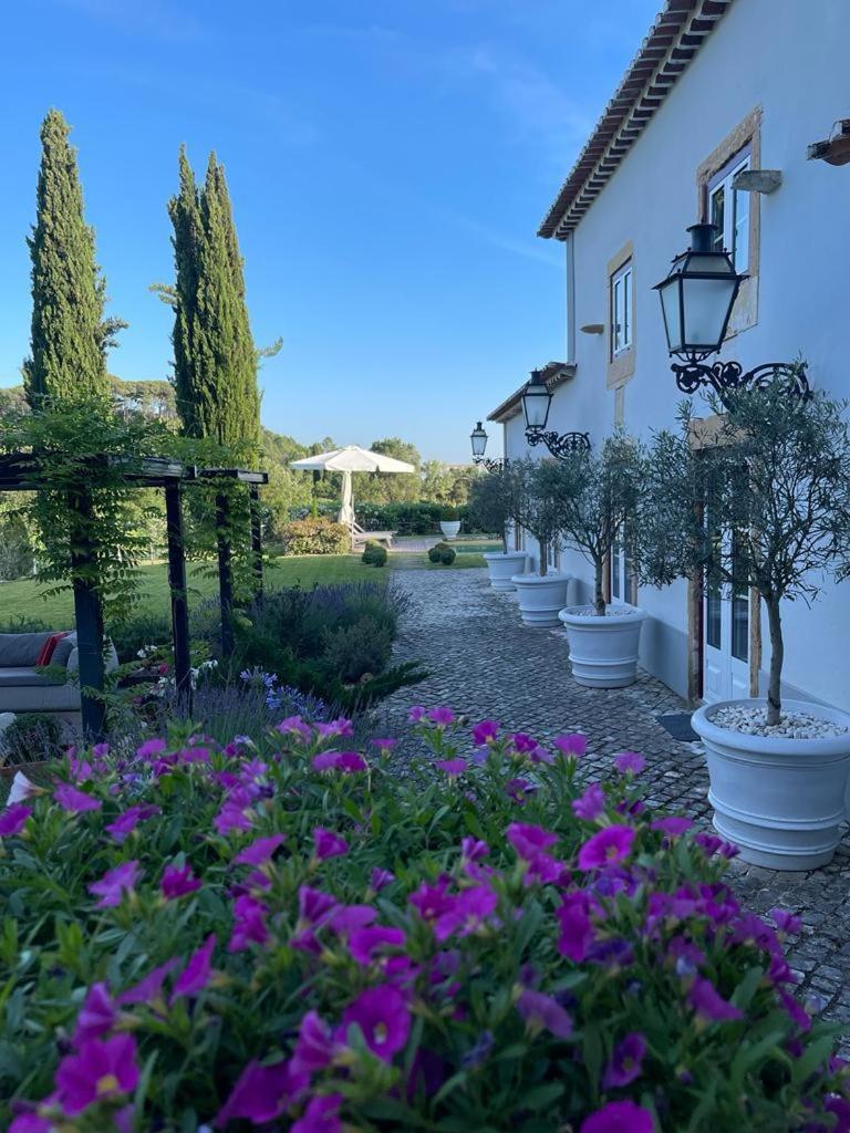 Quinta dos Pegões view 2