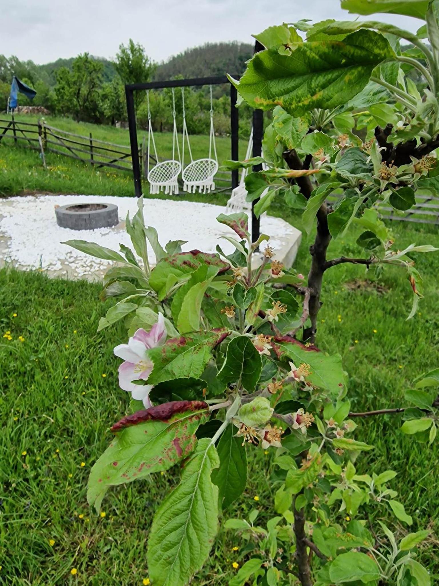Photo 9