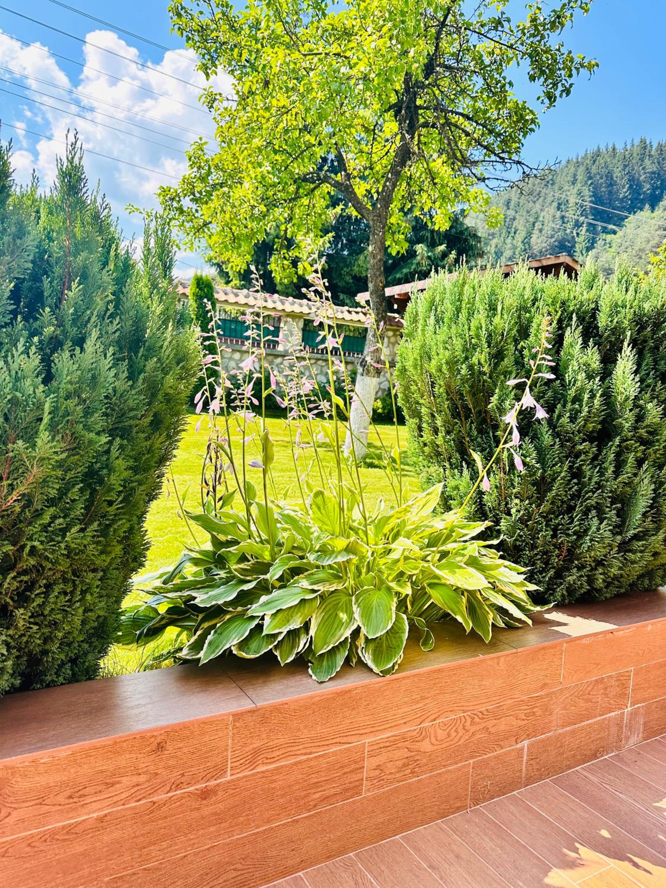 Villa Rila Garden view 2