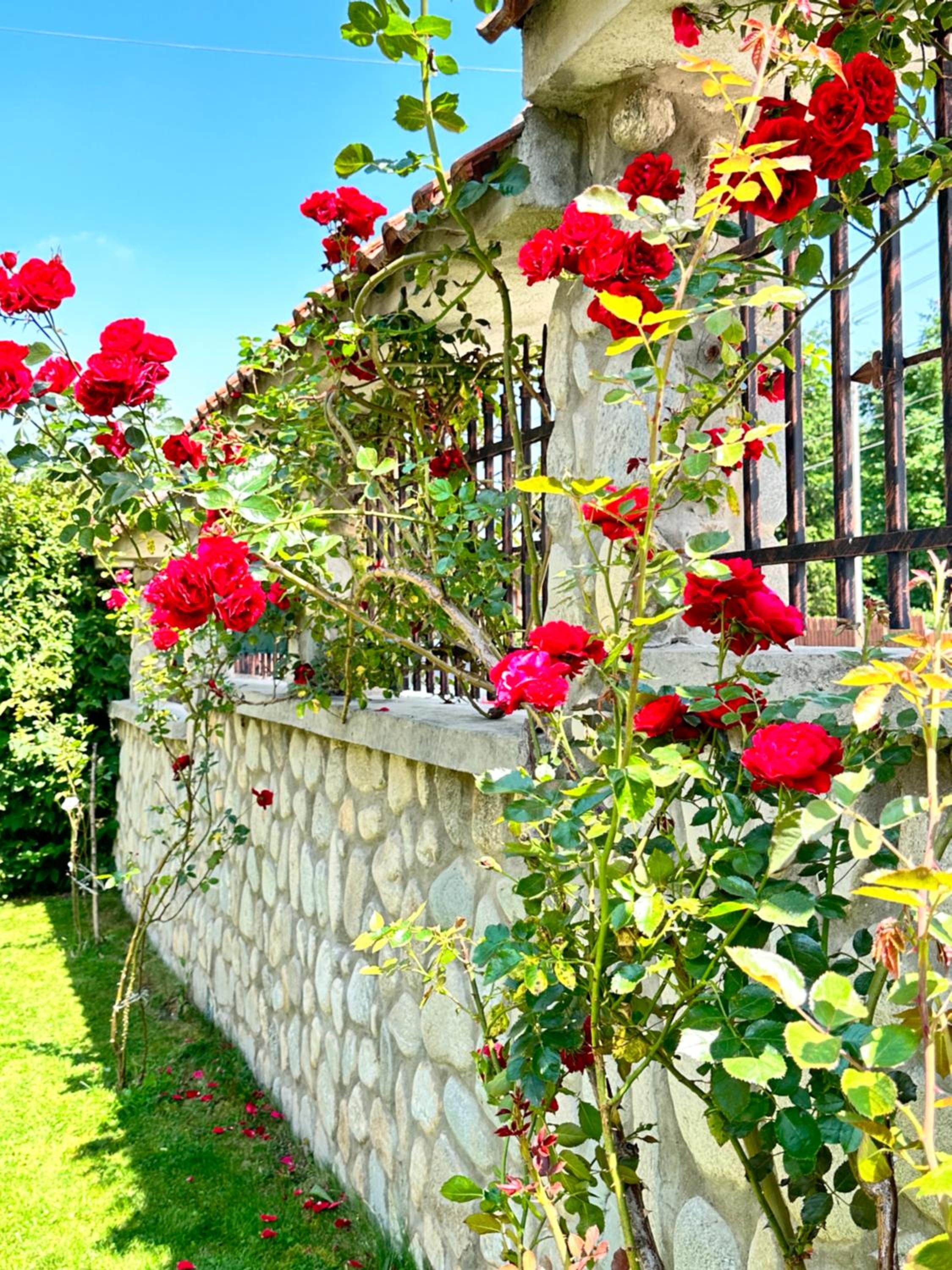 Villa Rila Garden view 3