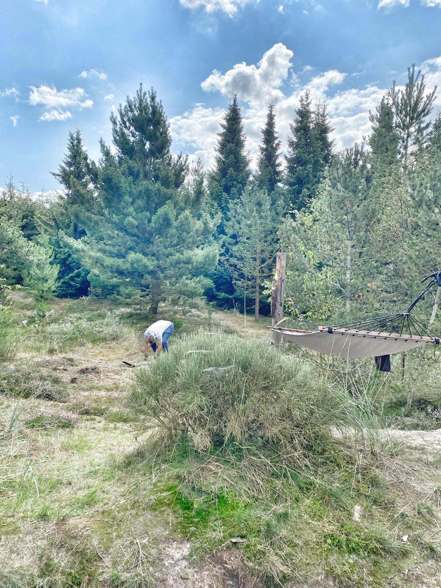 Cozy child-friendly house