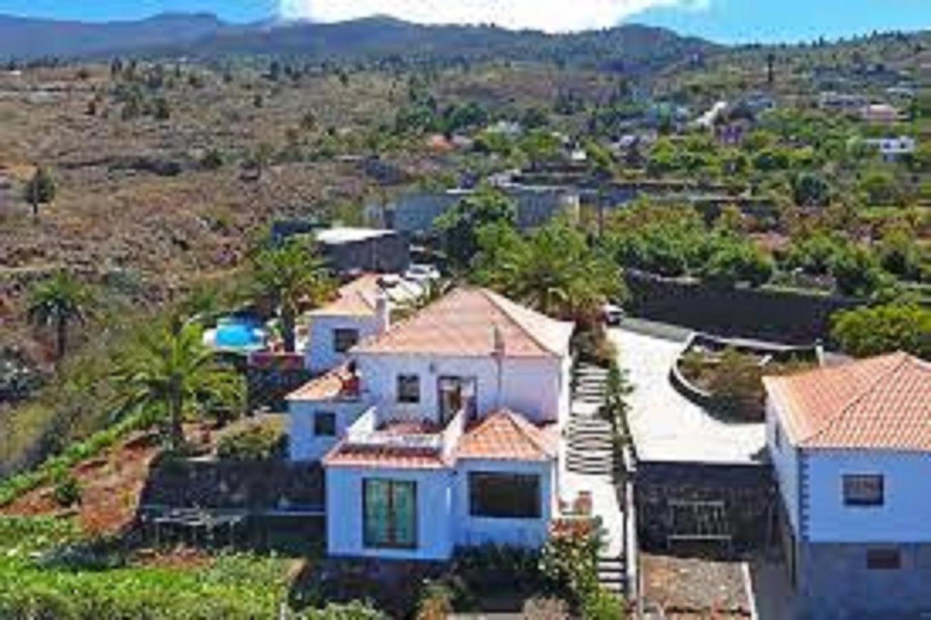 Las Palmeras A