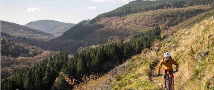 Afan house