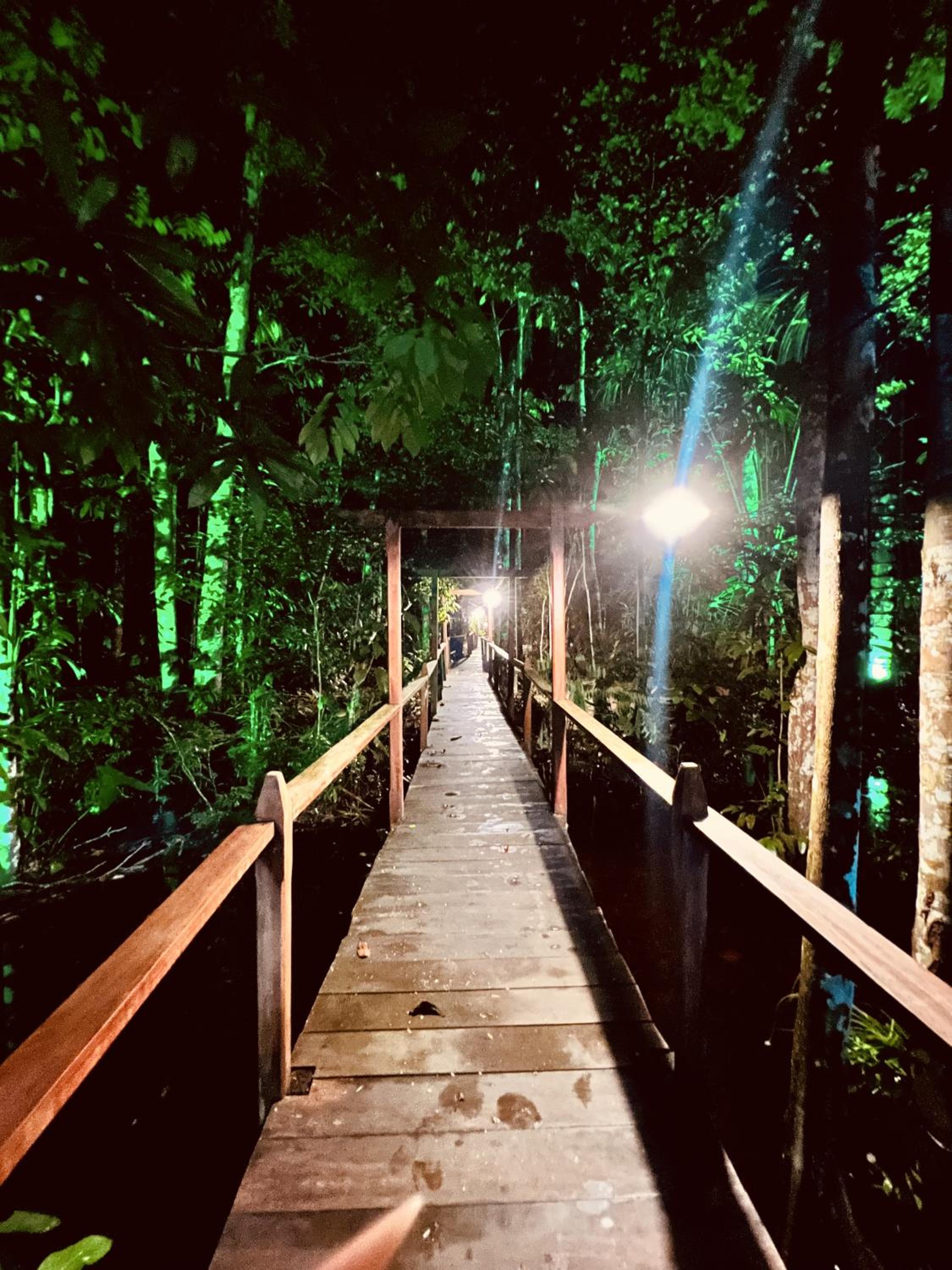 Cirandeira Amazon World EcoResort