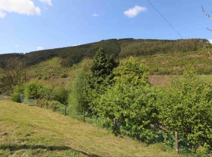 Afan house