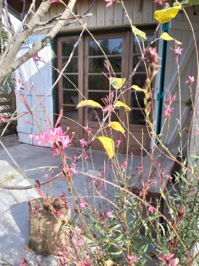 Casita en la playa, Refugio de Mar